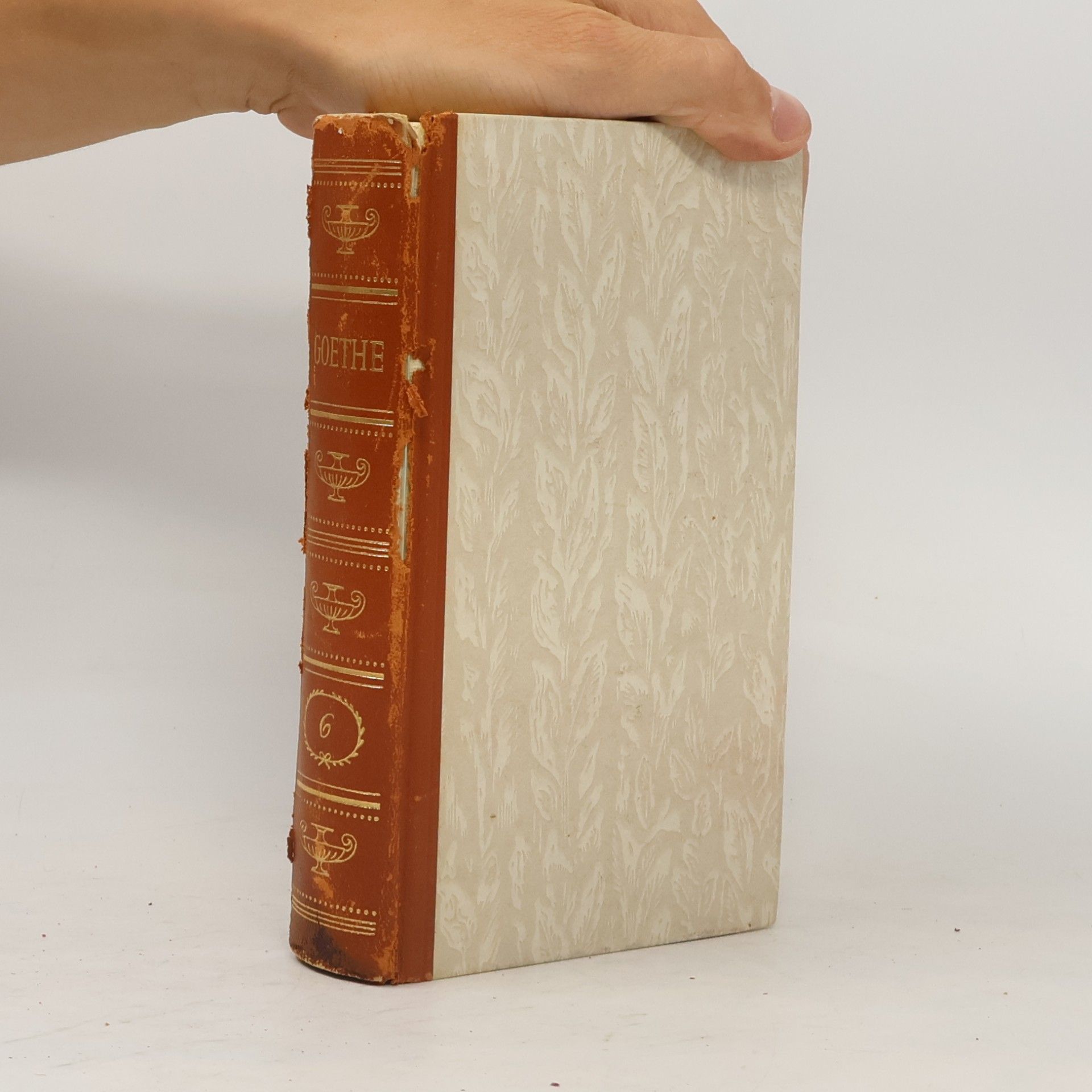 Johann Wolfgang von Goethe Gesammelte Werke 6