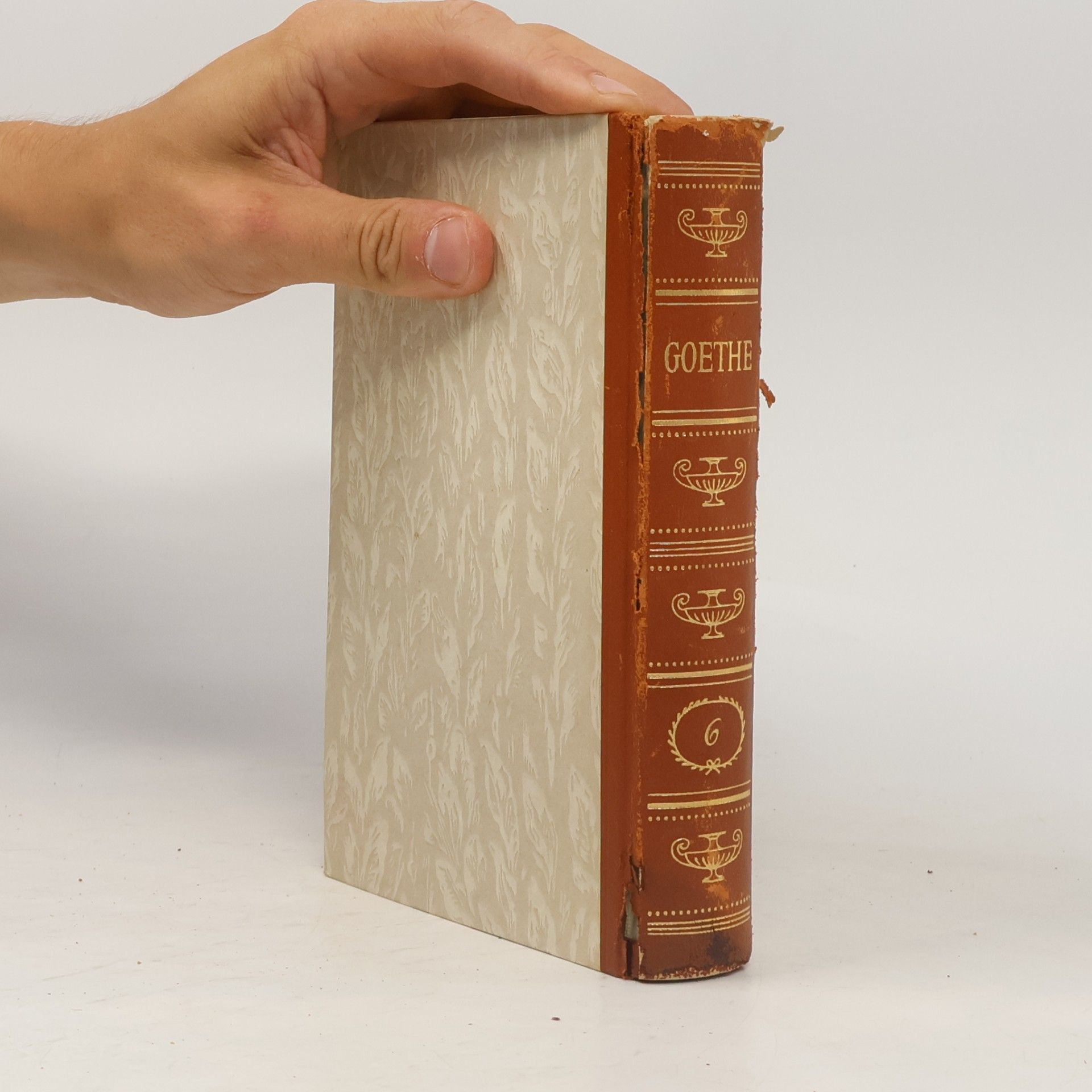 Johann Wolfgang von Goethe Gesammelte Werke 6