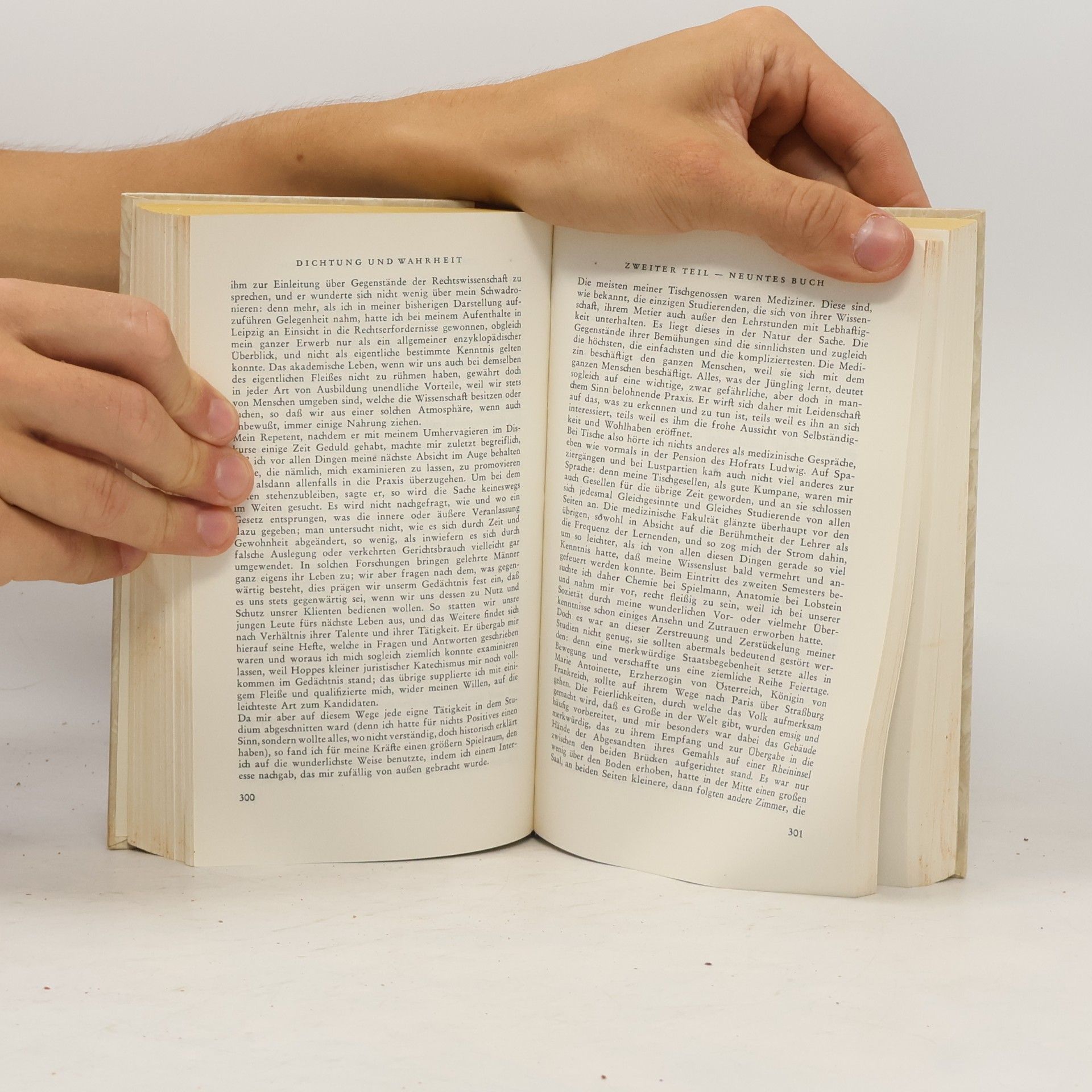Johann Wolfgang von Goethe Gesammelte Werke 6