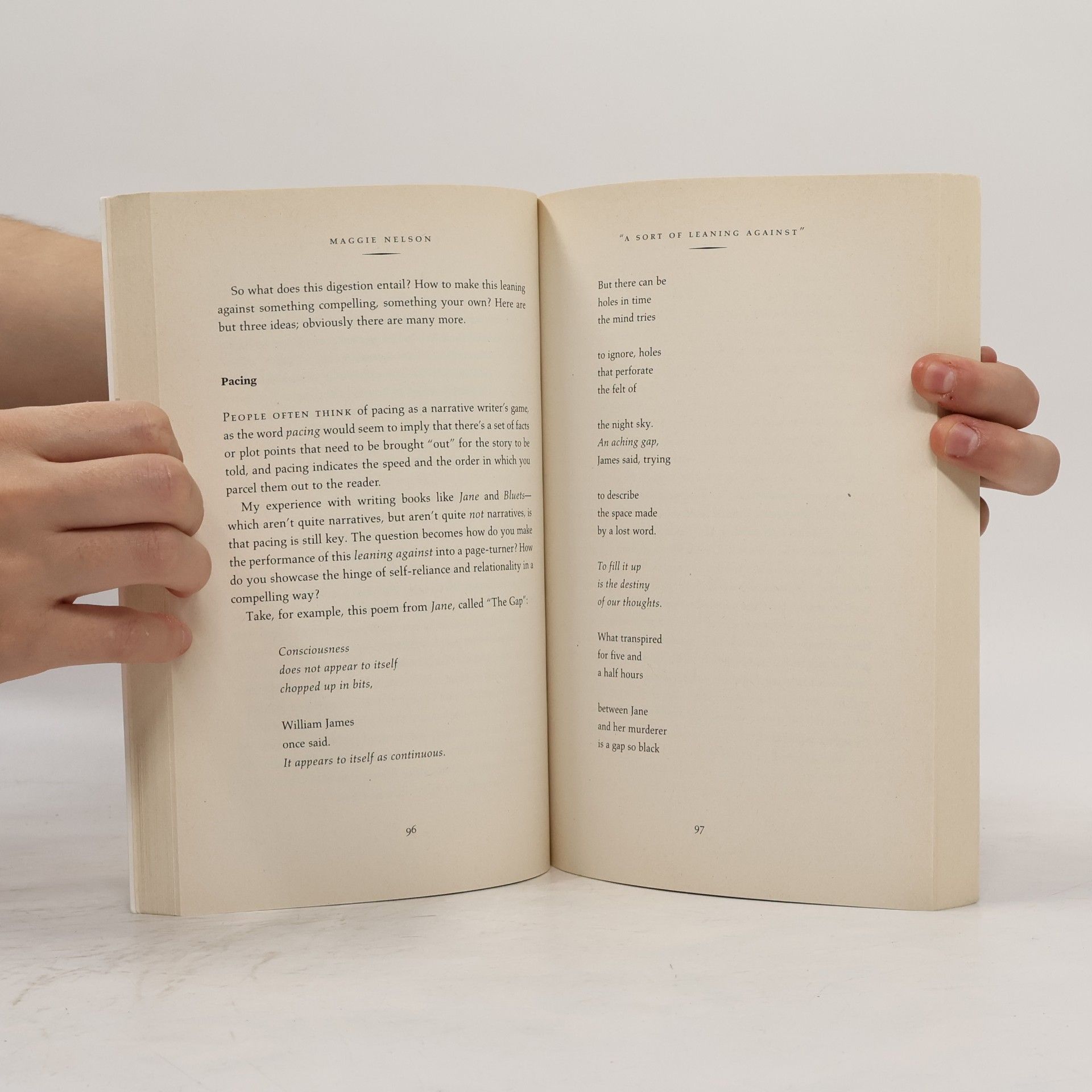 Francine Prose The Writer's Notebook II