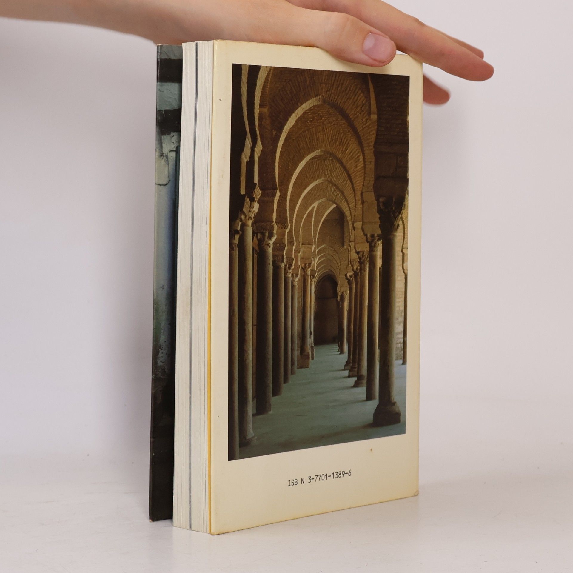 Michael Köhler Tunesien : Reise-Handbuch