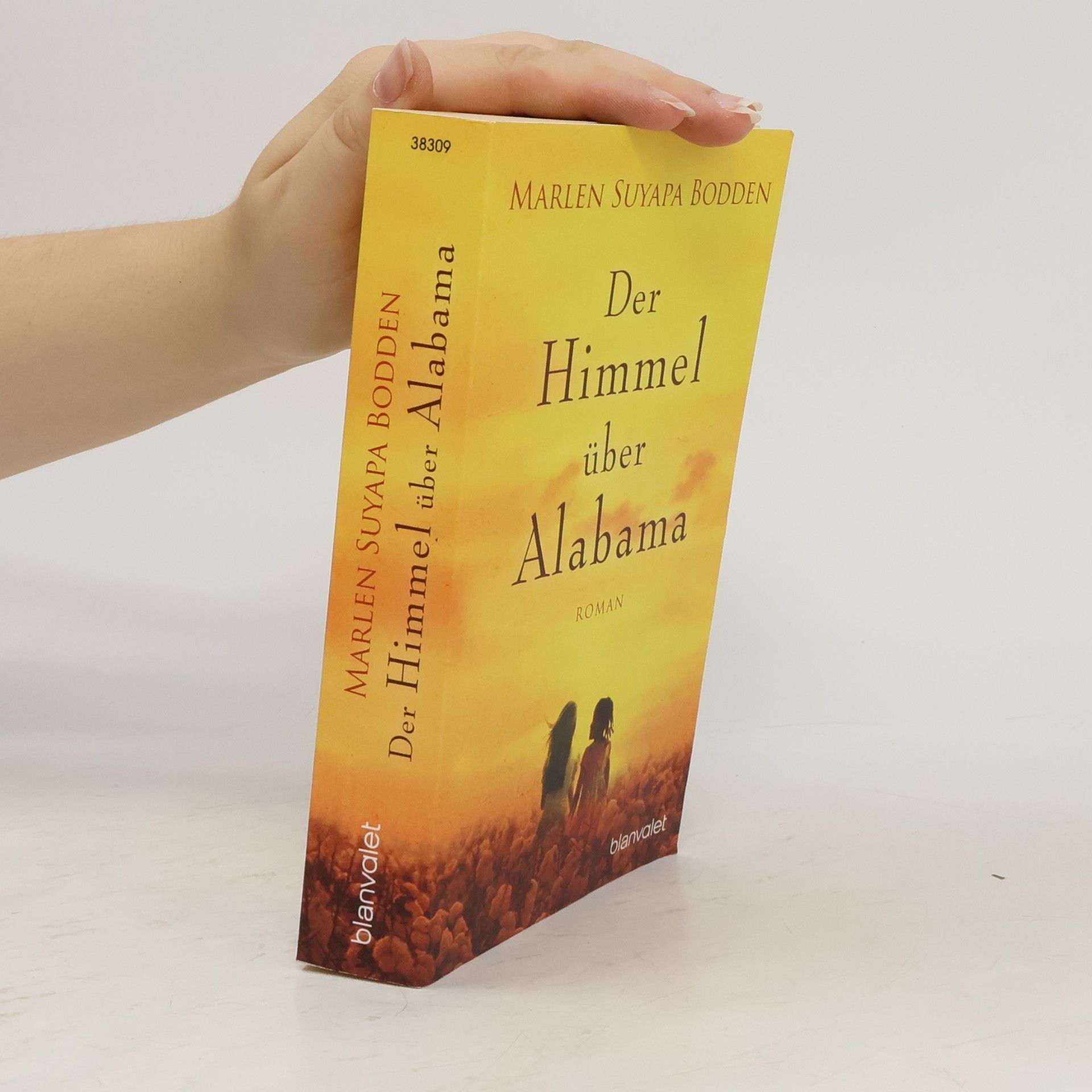 Marlen Suyapa Bodden Der Himmel über Alabama