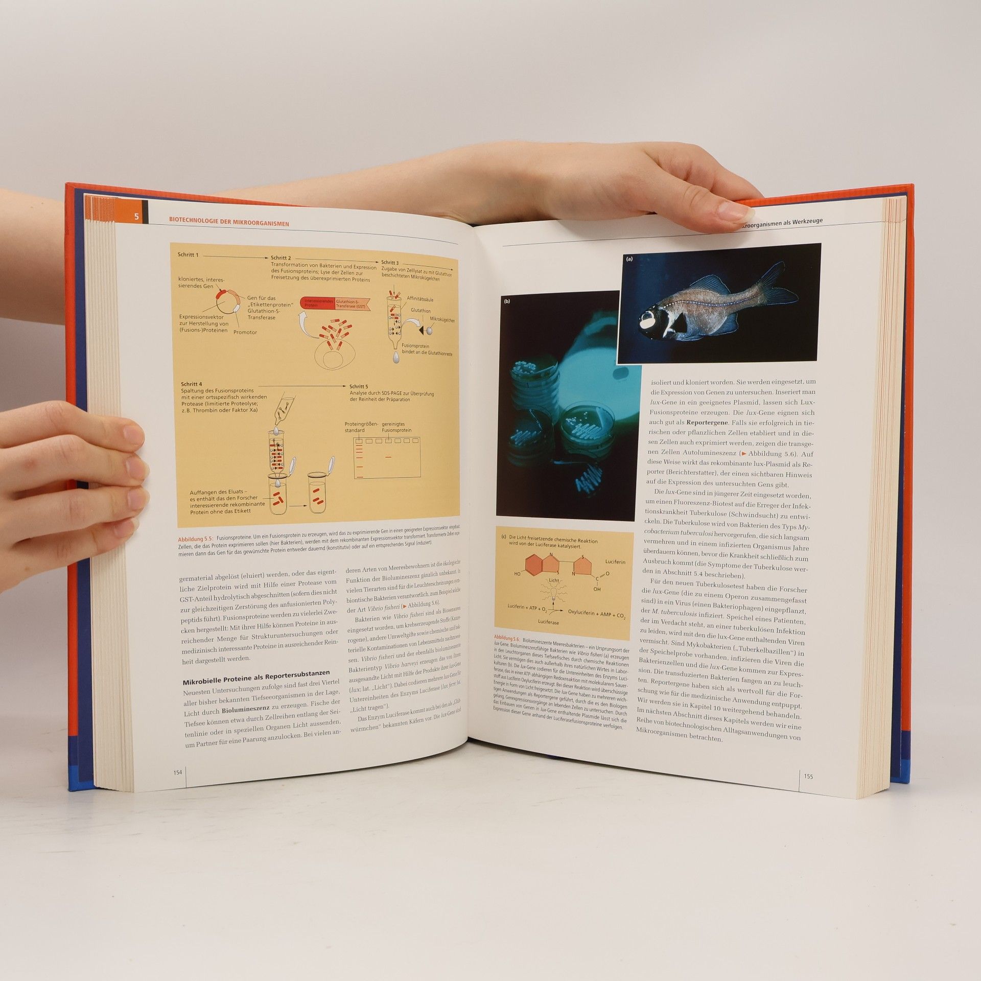 William J. Thieman Biotechnologie
