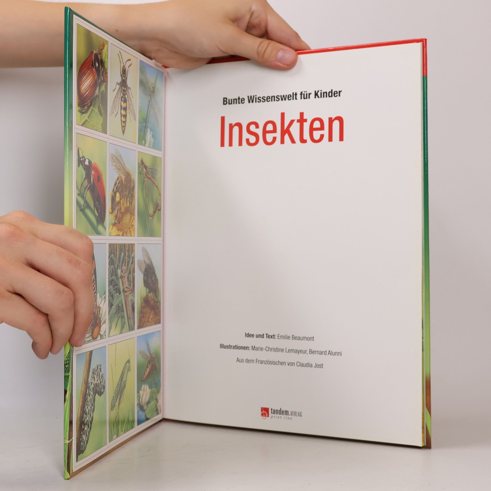 Émilie Beaumont Bunte Wissenswelt für Kinder. Insekten