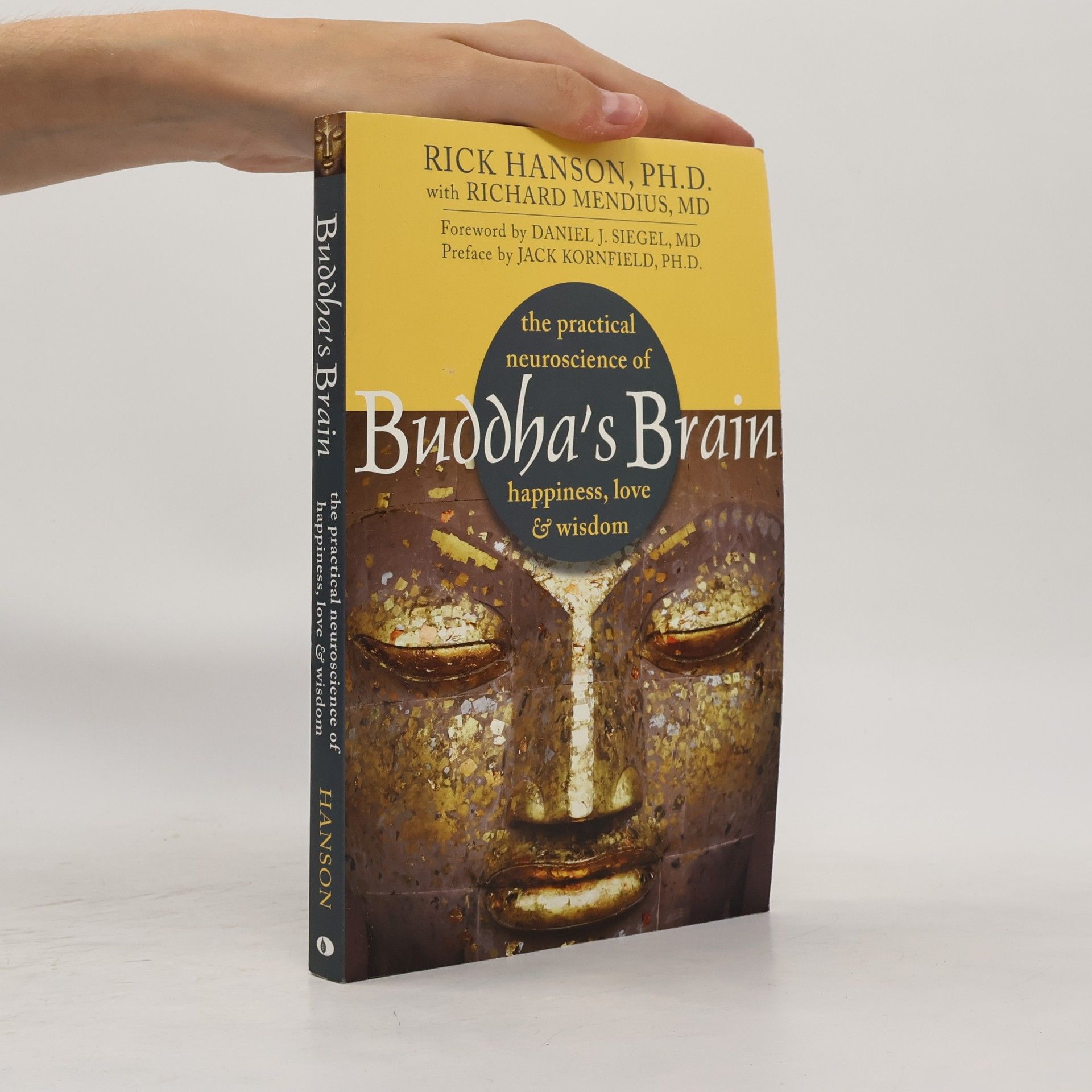 Rick hanson Buddha's Brain