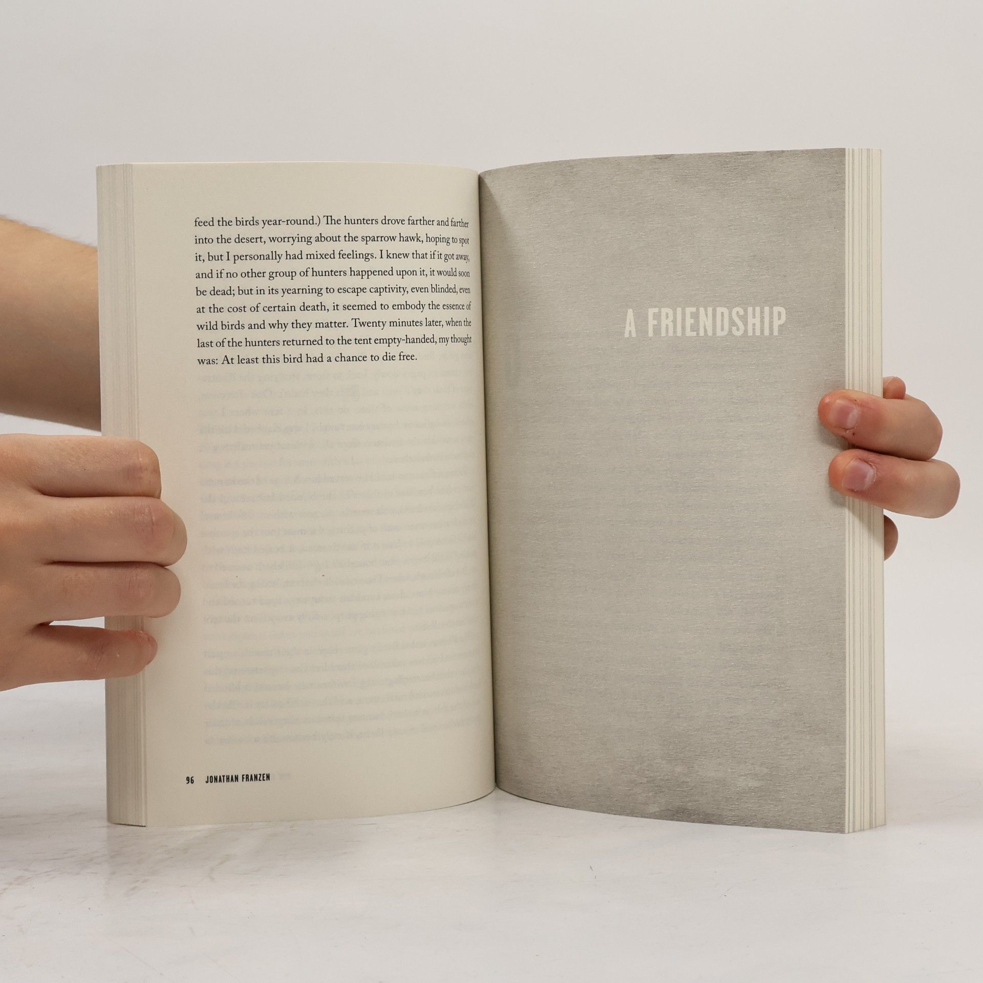 Jonathan Franzen The End of the End of the Earth