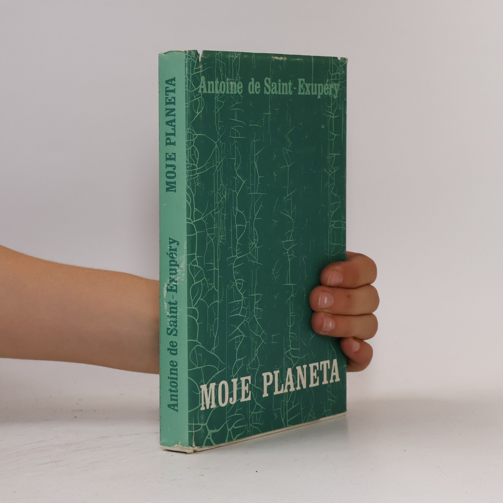 Antoine de Saint-Exupéry Moje planeta