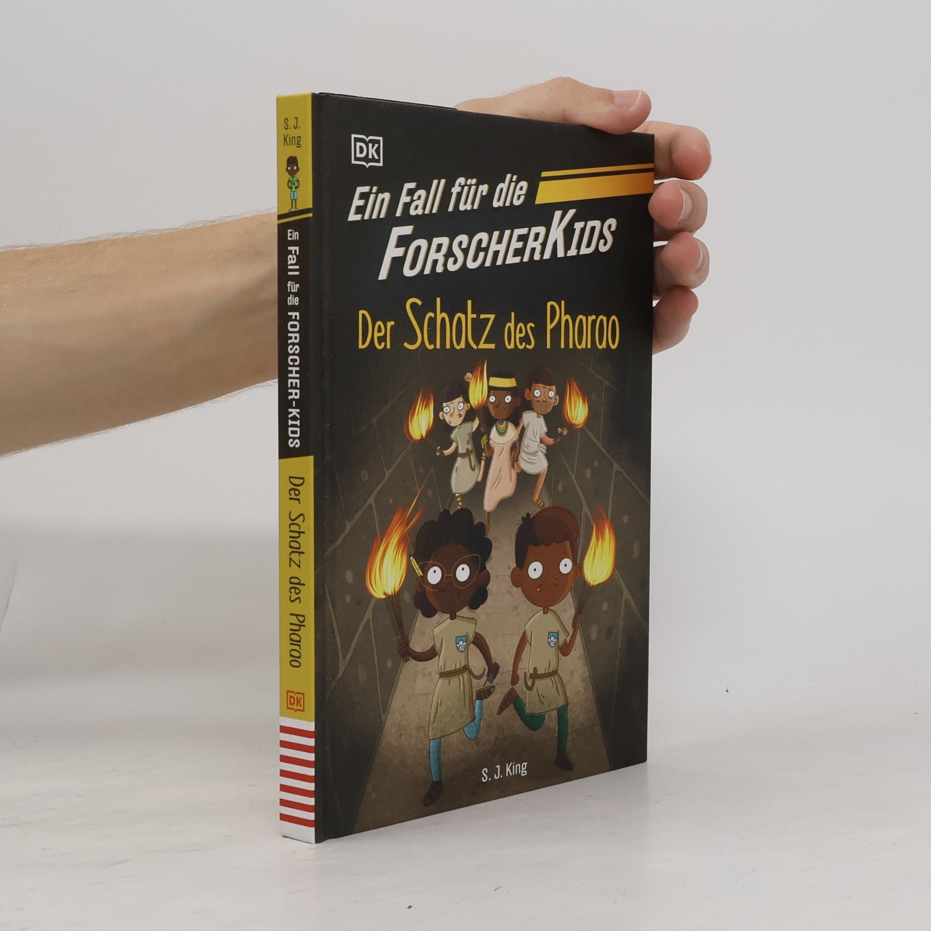 S. J. King Der Schatz des Pharao