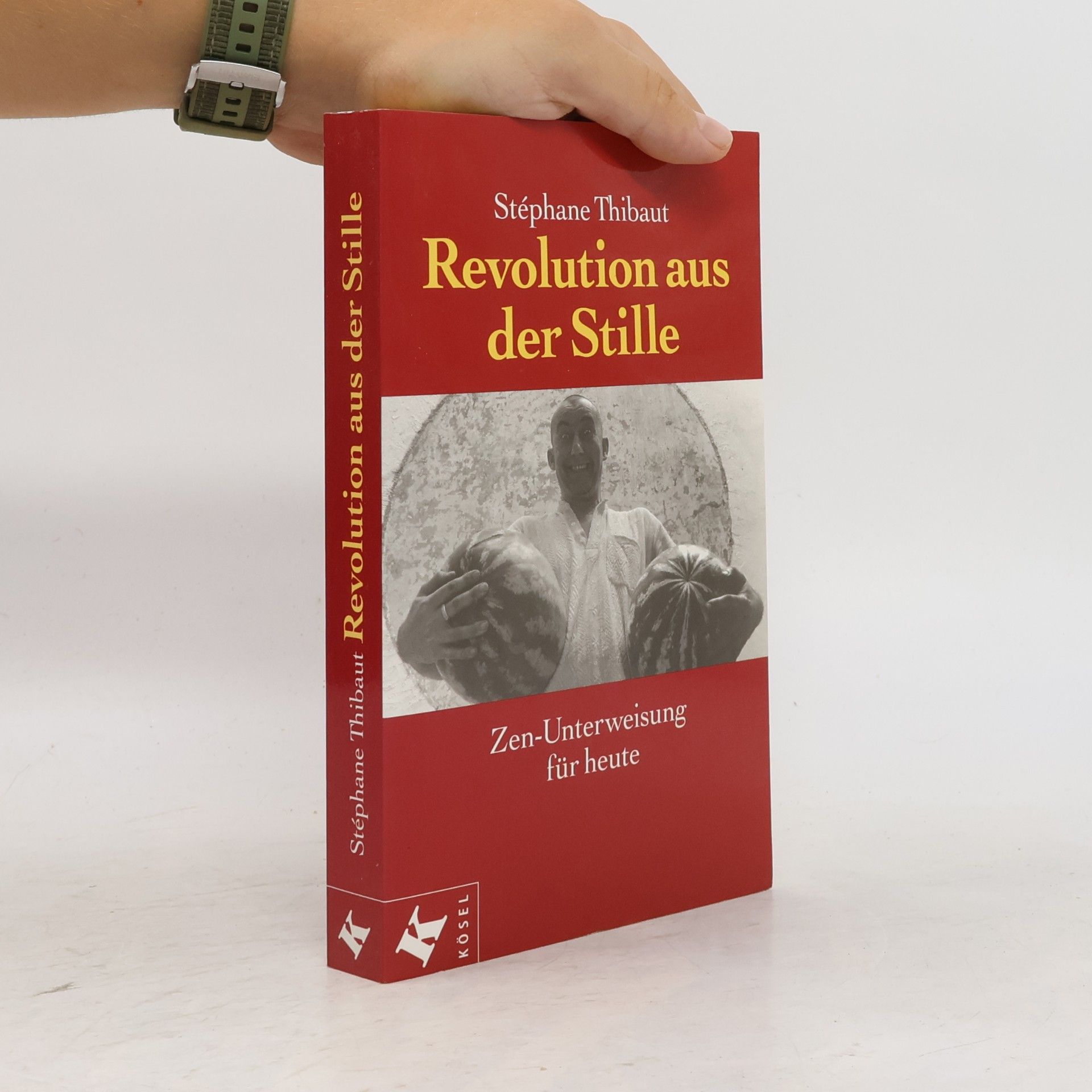 Stéphane Thibaut Revolution aus der Stille