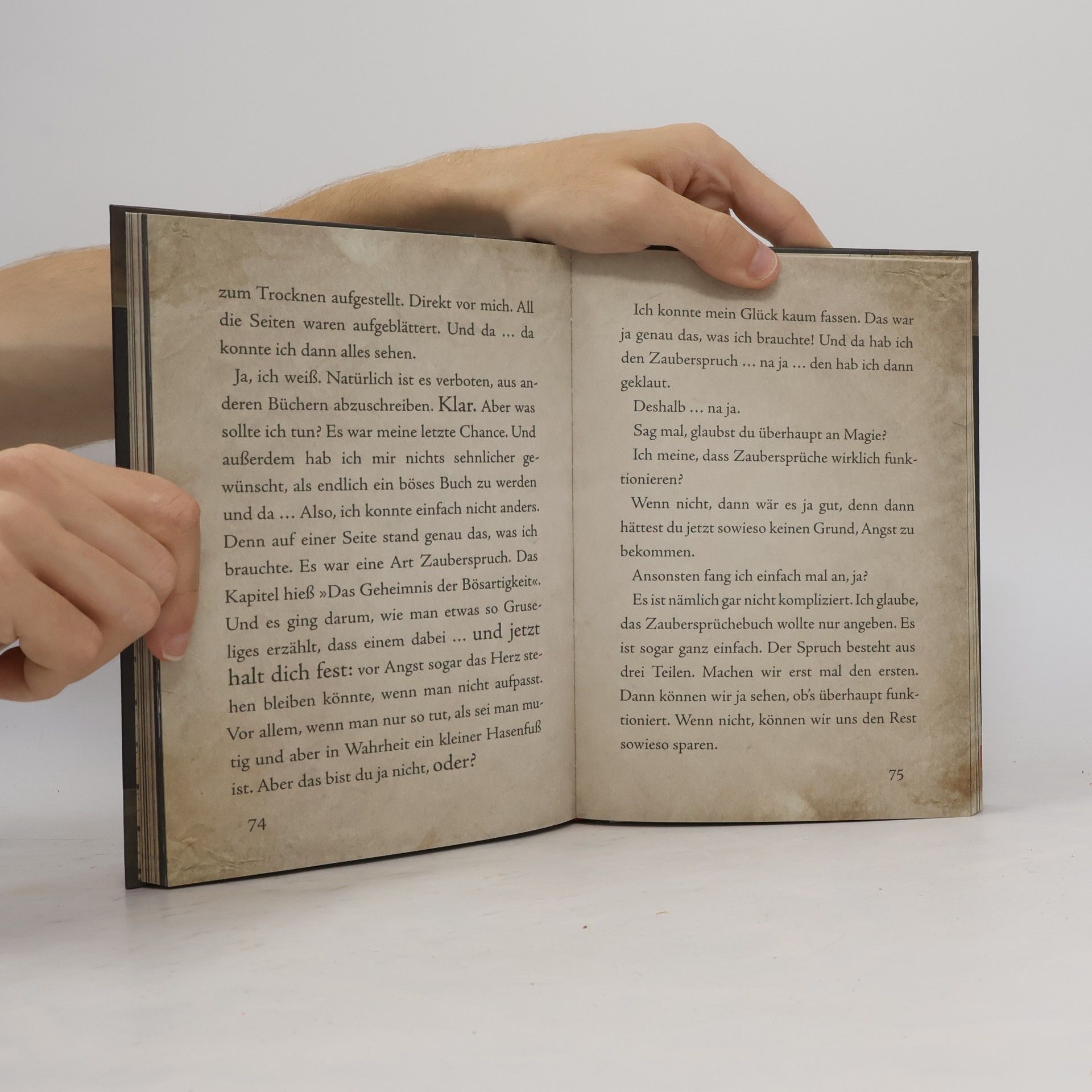 Magnnus Myst Das kleine Böse Buch