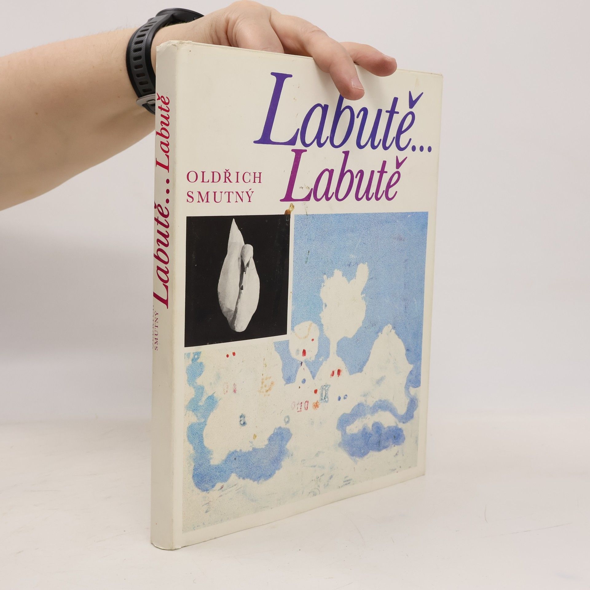 Oldřich Smutný Labutě... Labutě
