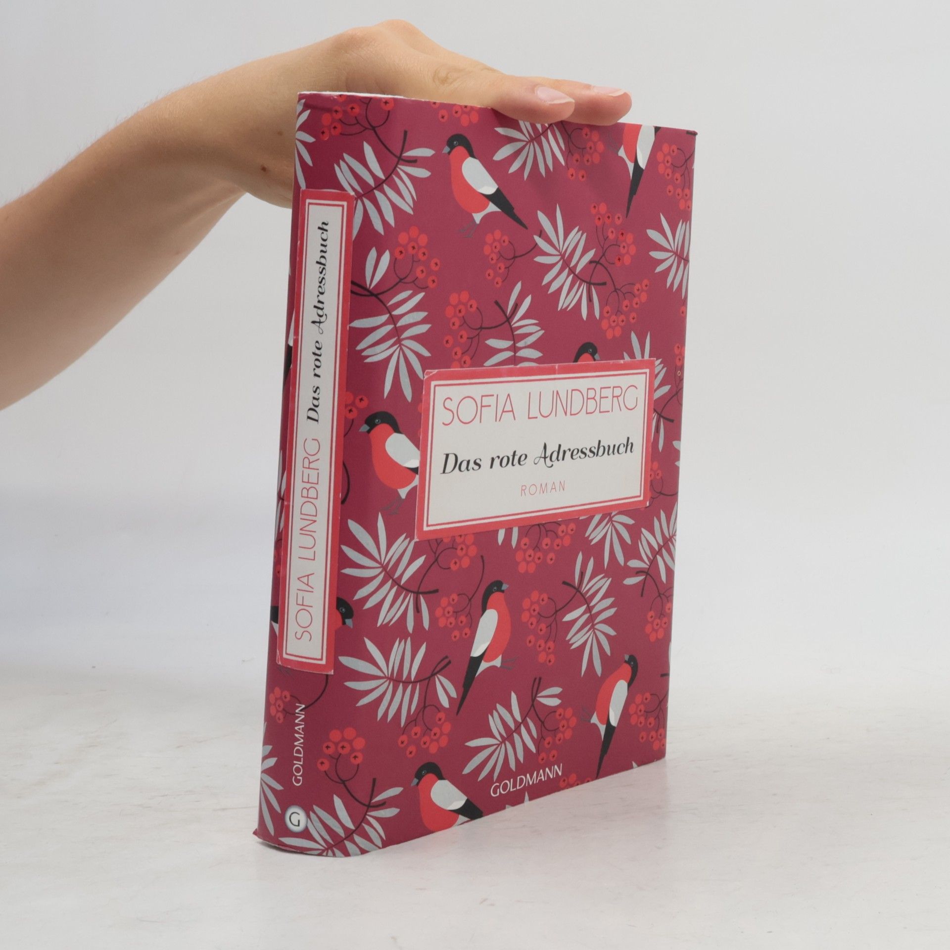 Sofia Lundberg Das rote Adressbuch