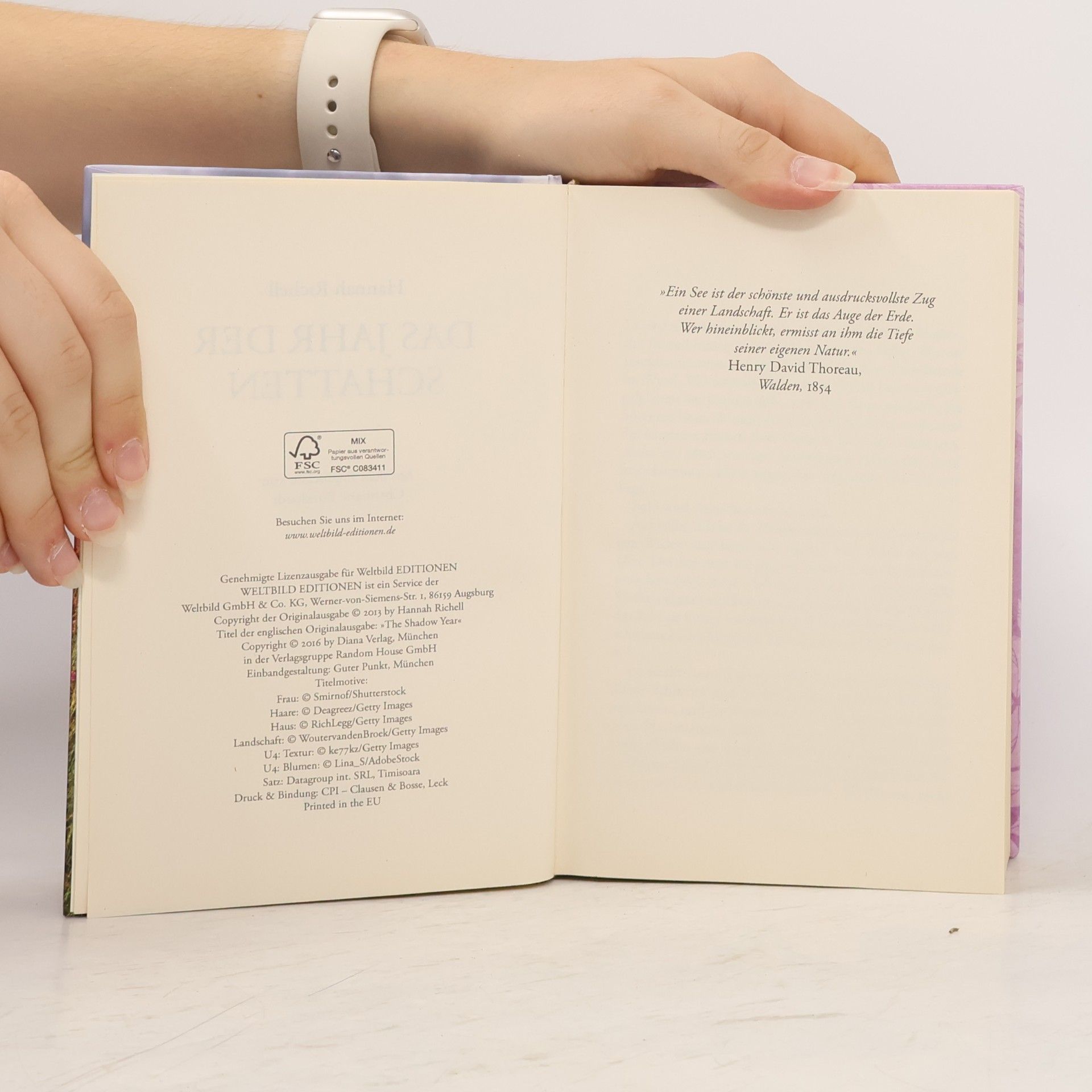Hannah Richell Das Jahr der Schatten