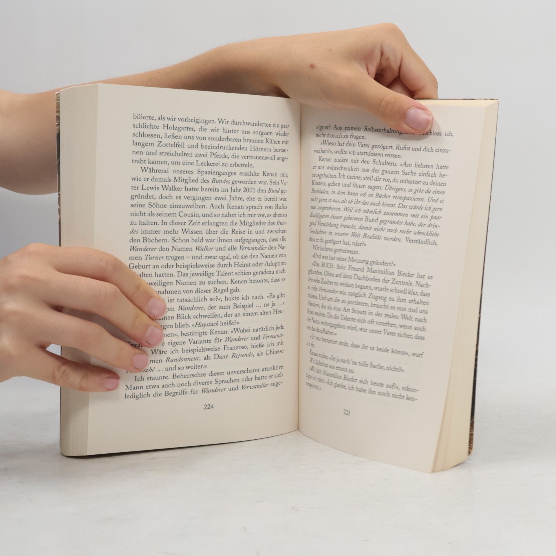 Mary E. Garner Das Buch der Geloschten Worter: Der Erste Feder Strich