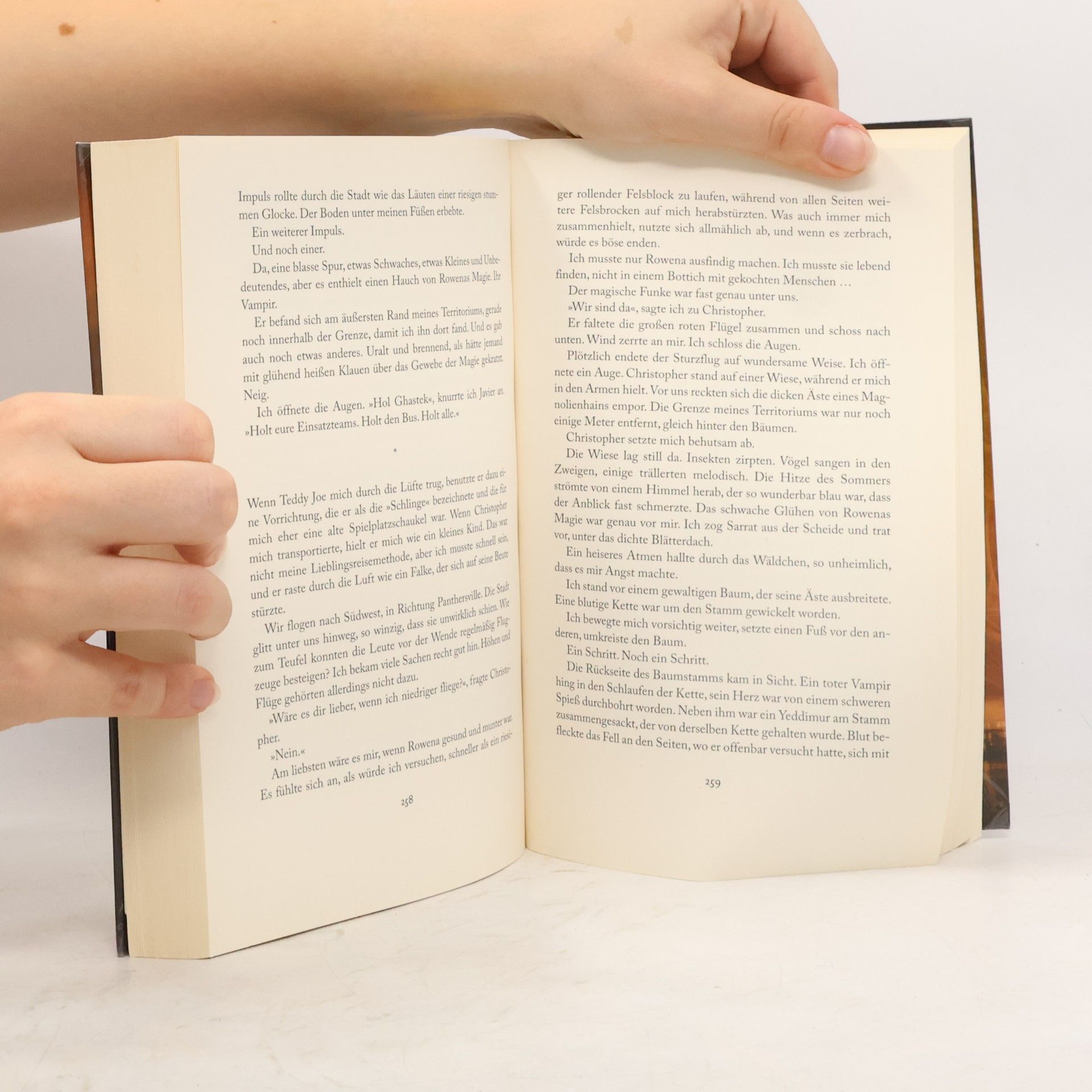 Ilona Andrews Stunde der Macht