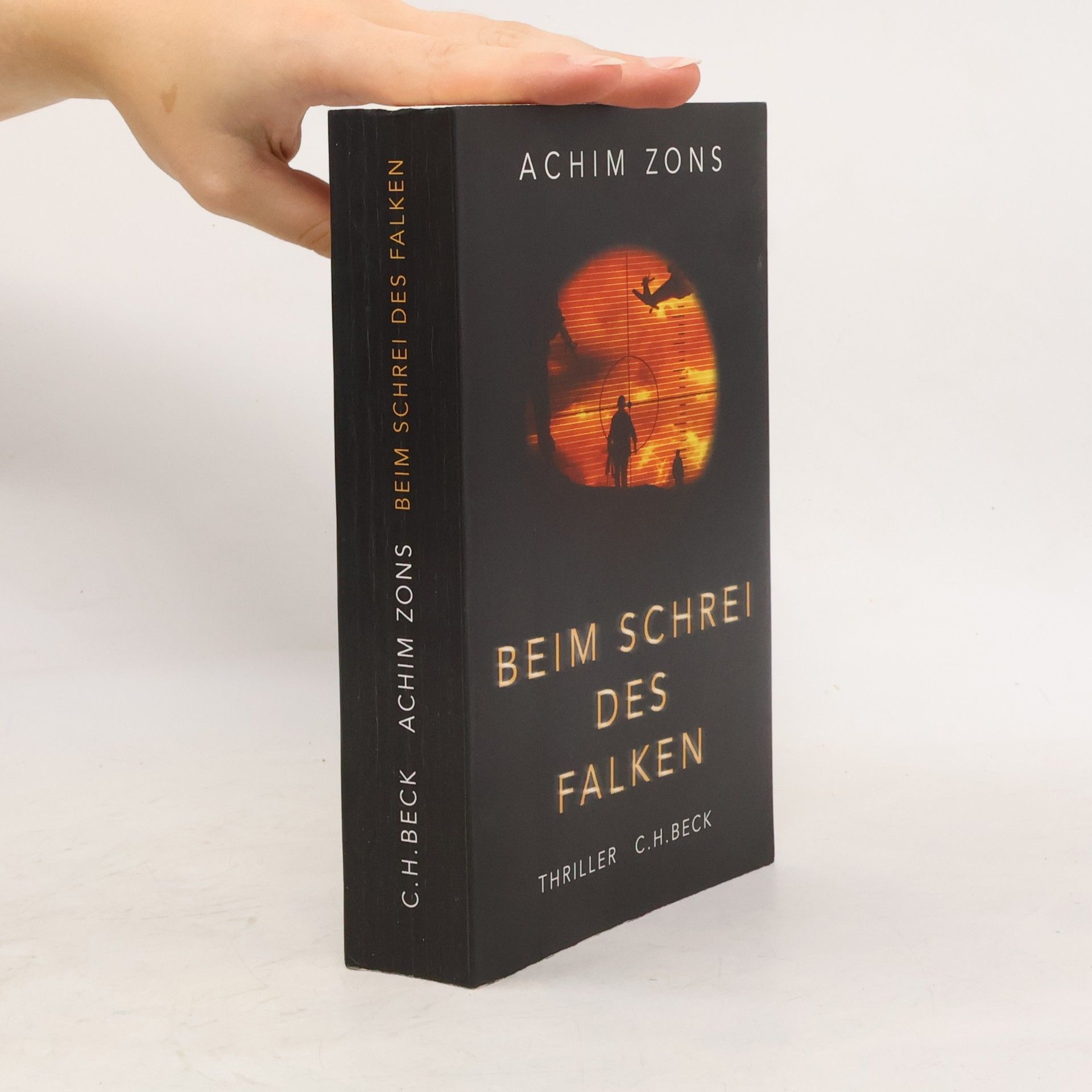 Achim Zons Beim Schrei des Falken
