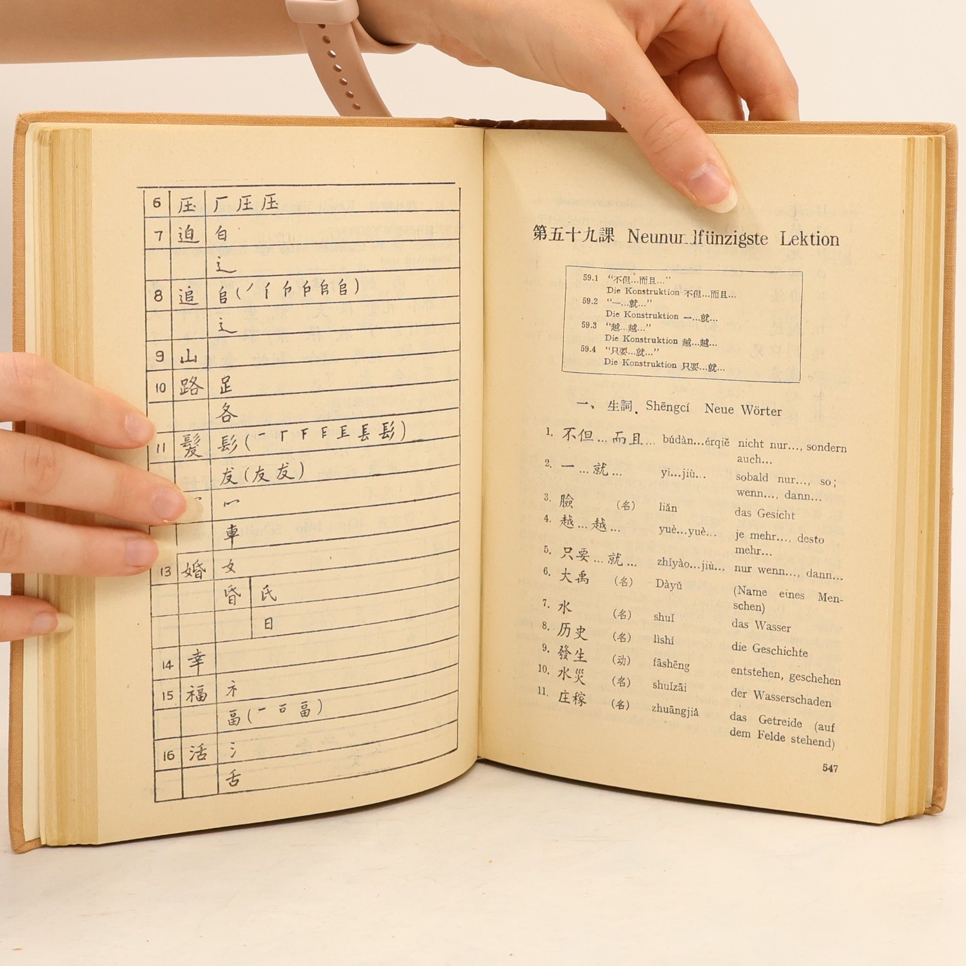 Collectif d'auteurs Lehrbuch der chinesischen Sprache II