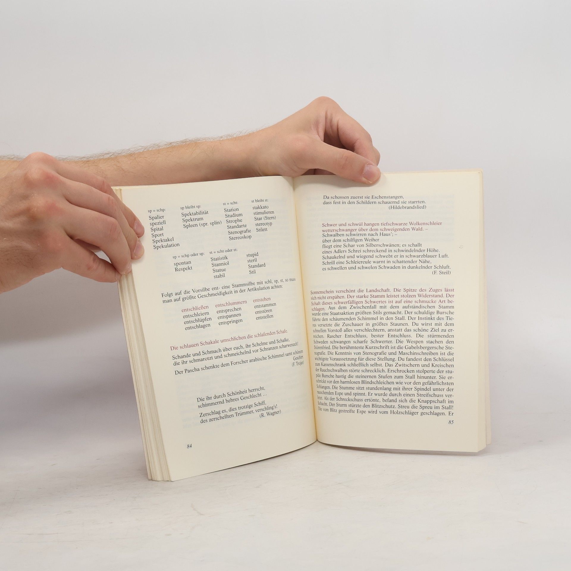 Sprechtechnisches Übungsbuch