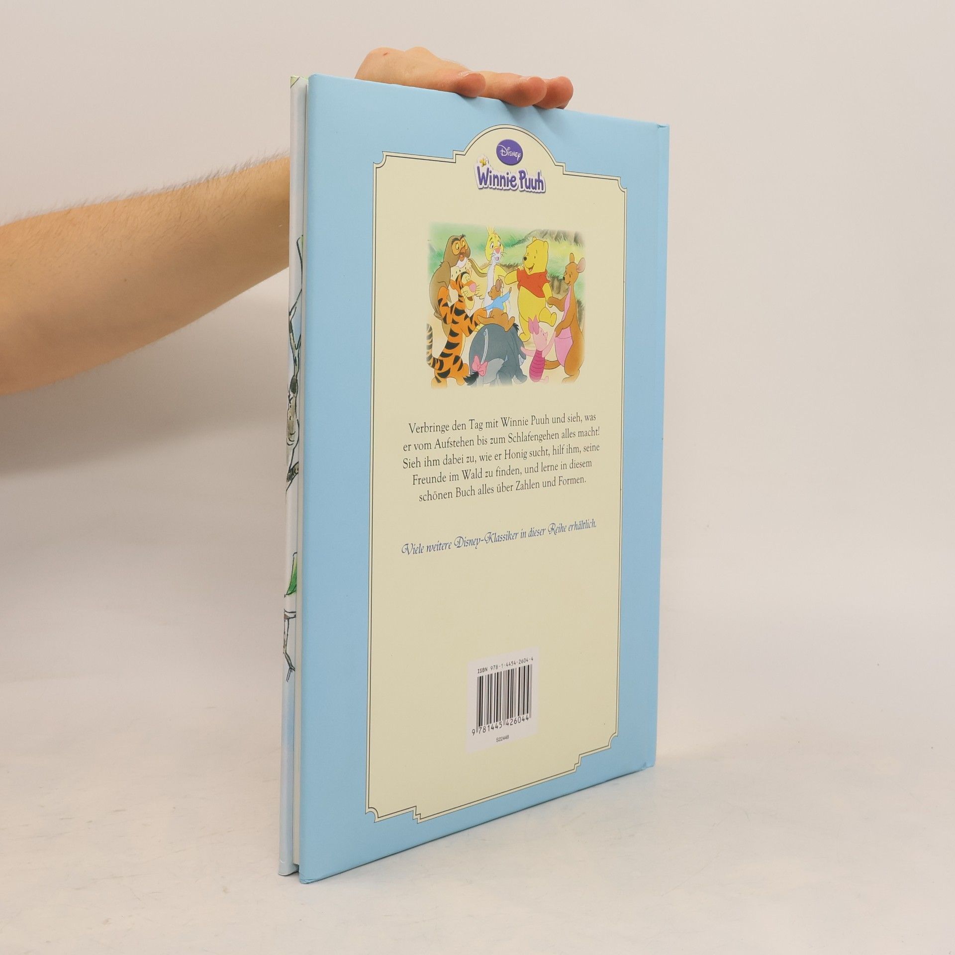 Autorenkollektiv Disney Winnie Puuh. Winnie Puuh und seine Freunde