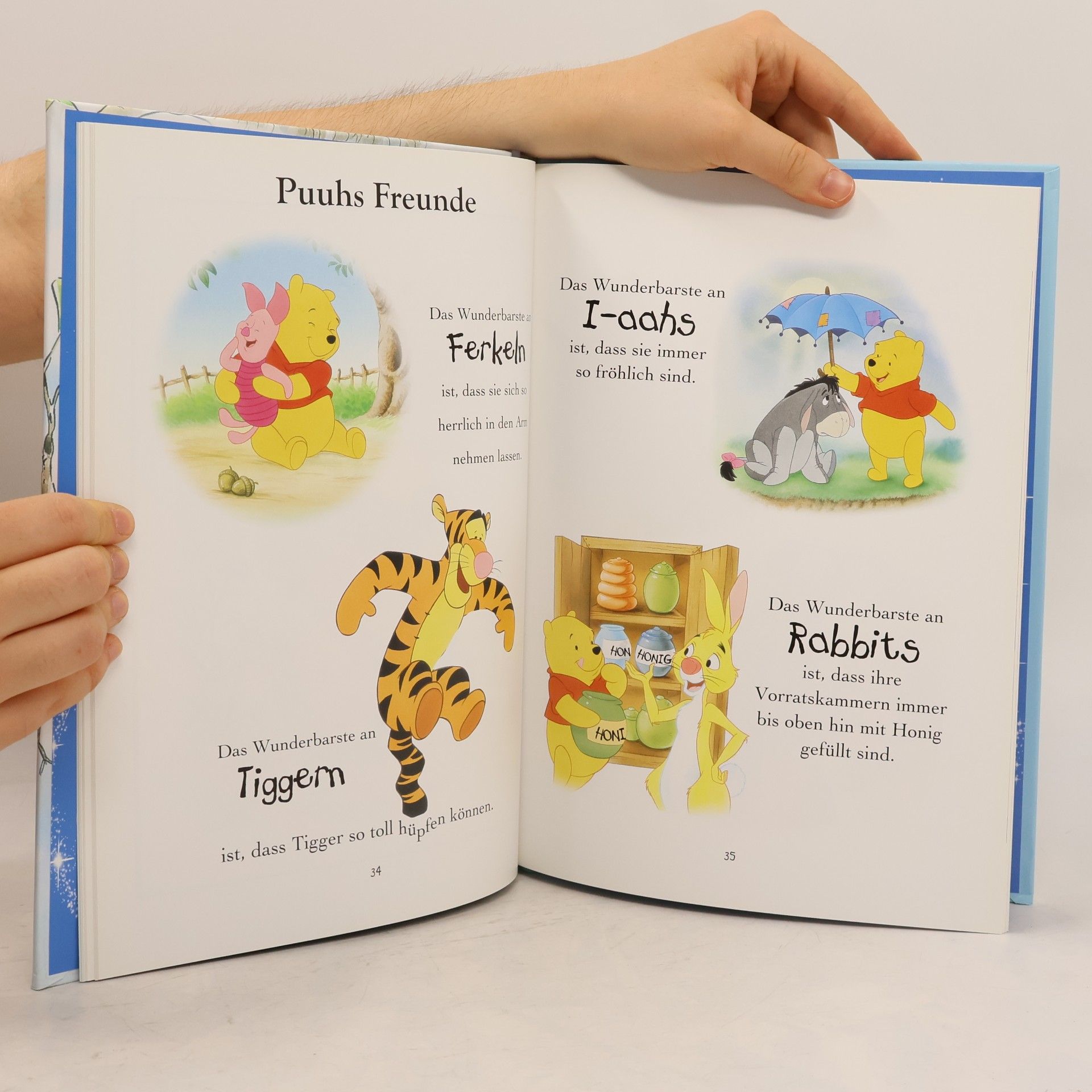 Autorenkollektiv Disney Winnie Puuh. Winnie Puuh und seine Freunde
