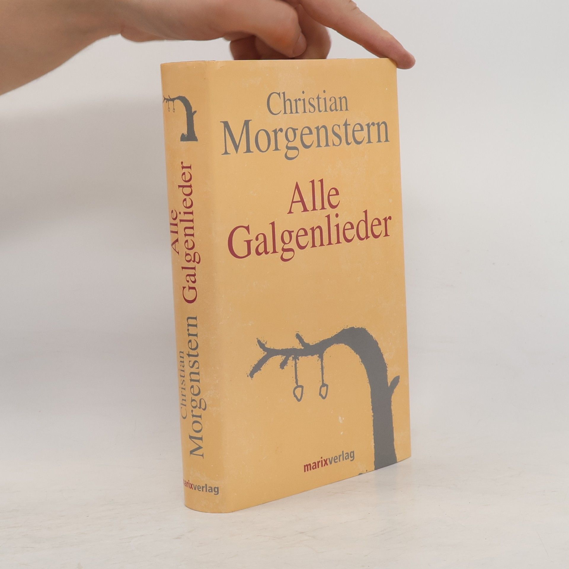 Christian Morgenstern Alle Galgenlieder