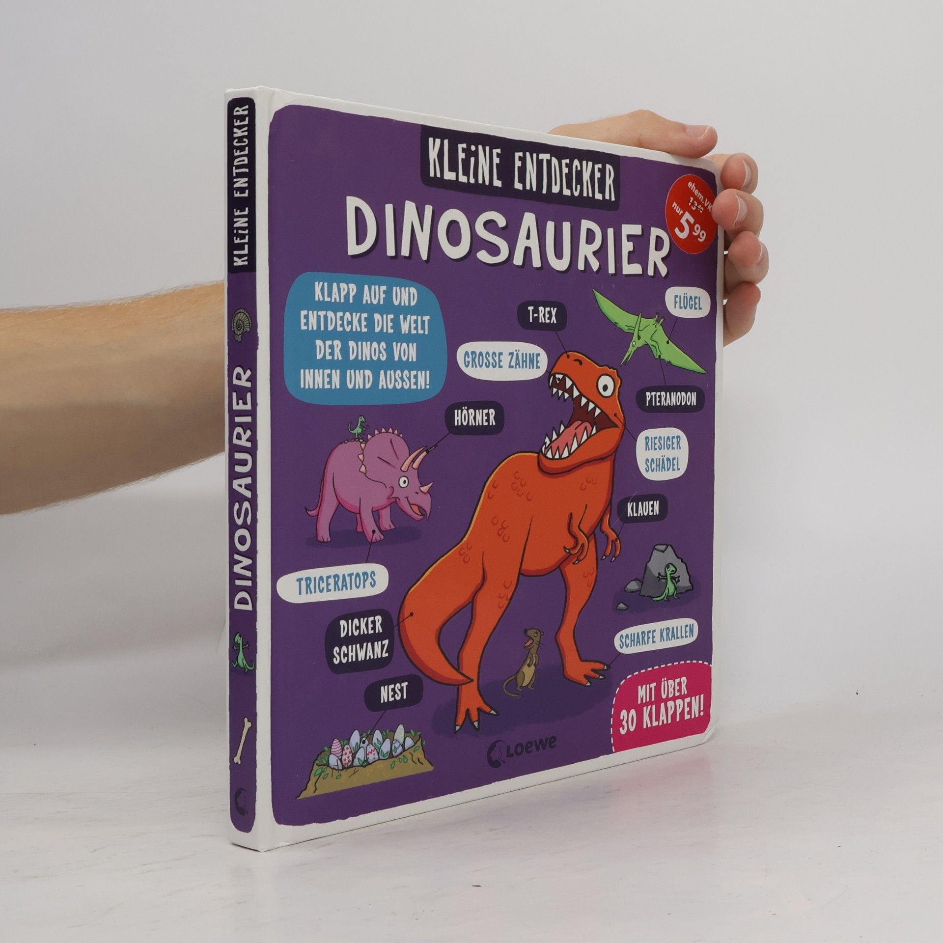 Collectif d'auteurs Kleine Entdecker: Dinosaurier