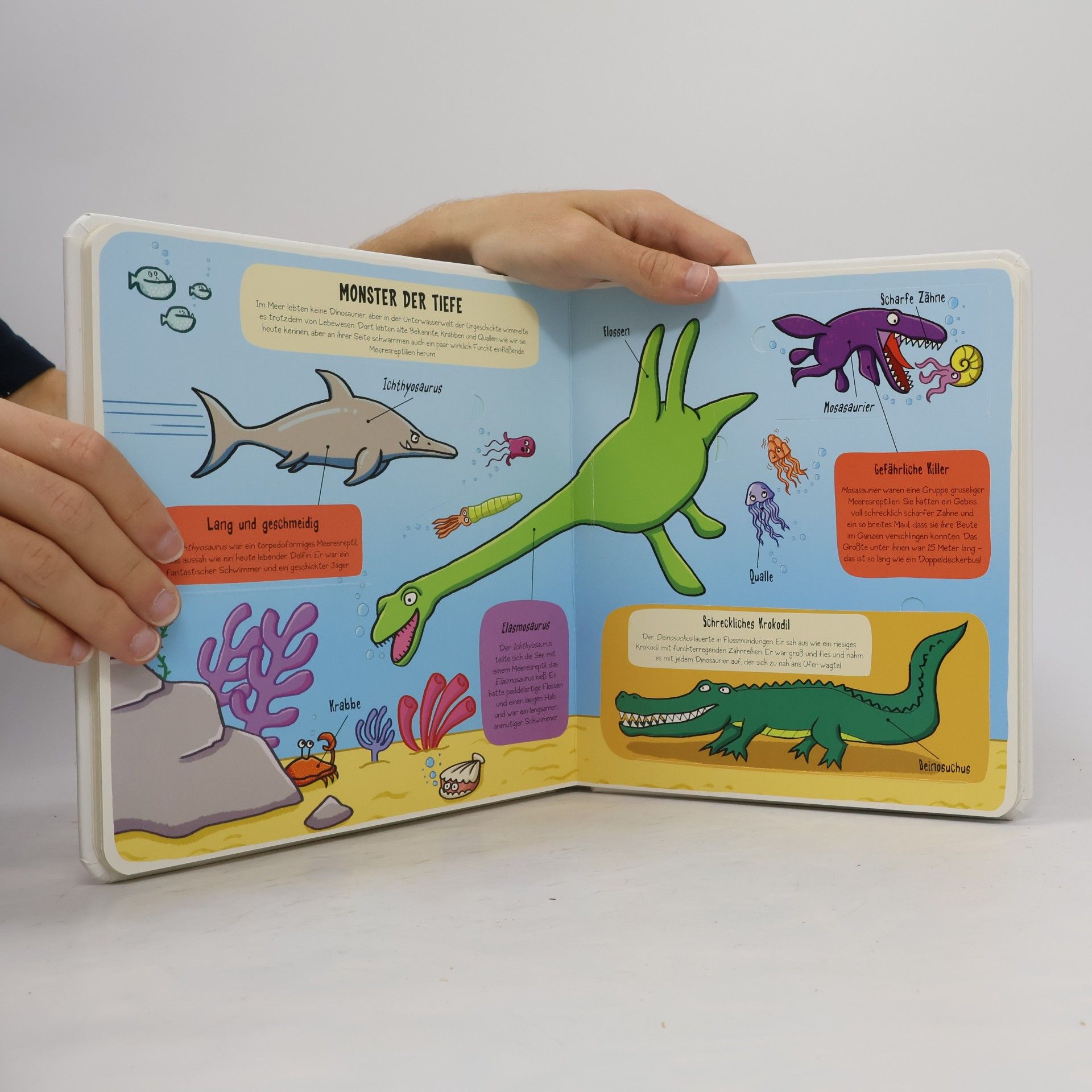 Kleine Entdecker: Dinosaurier