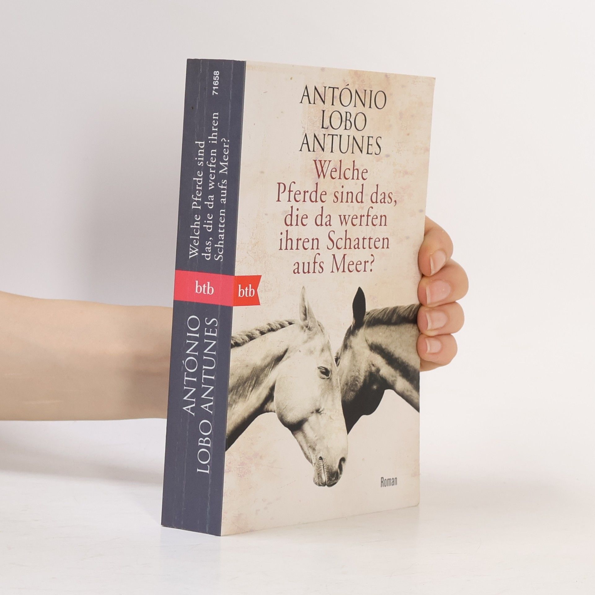 Antonio Lobo Antunes Welche Pferde sind das, die da werfen ihren Schatten aufs Meer?