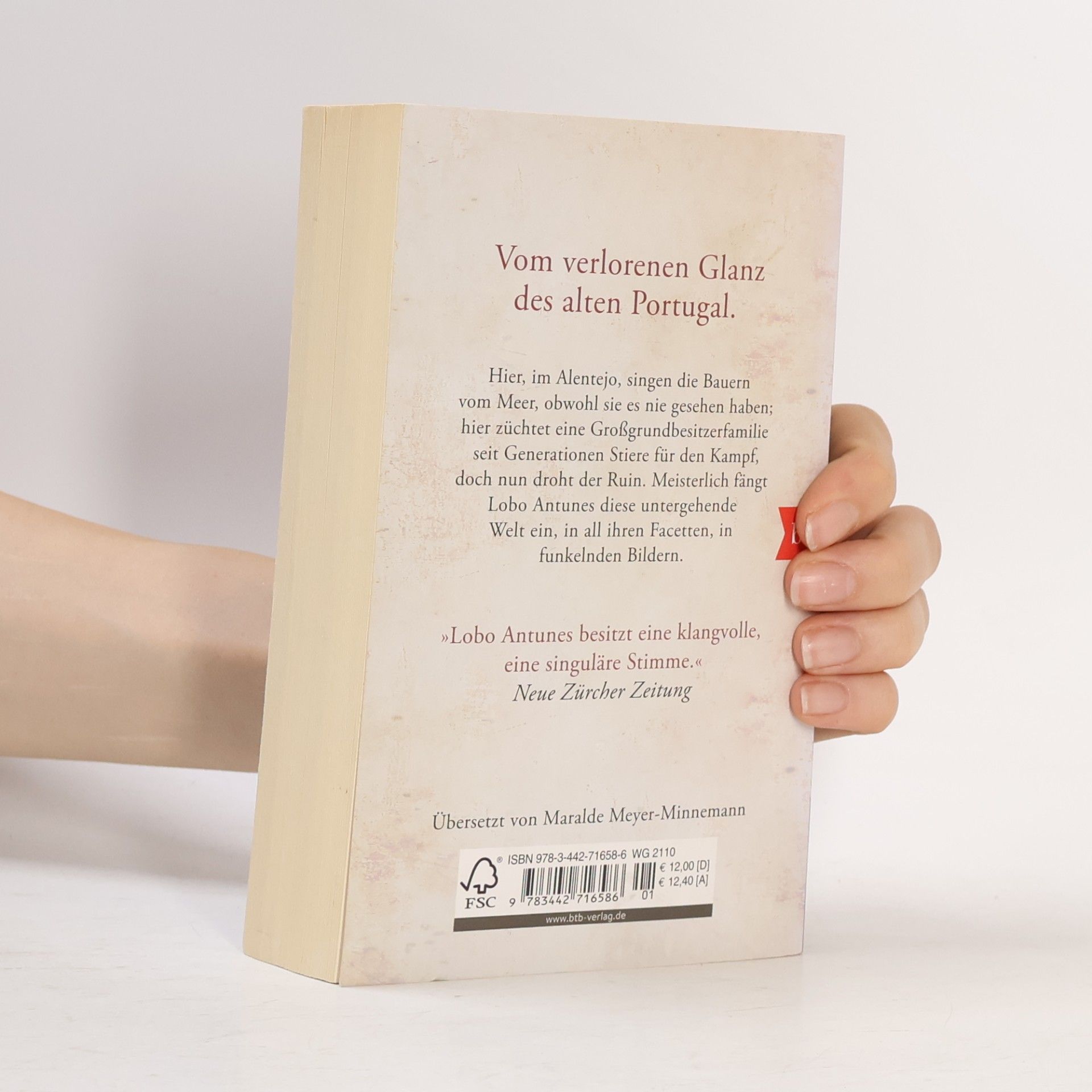 Antonio Lobo Antunes Welche Pferde sind das, die da werfen ihren Schatten aufs Meer?