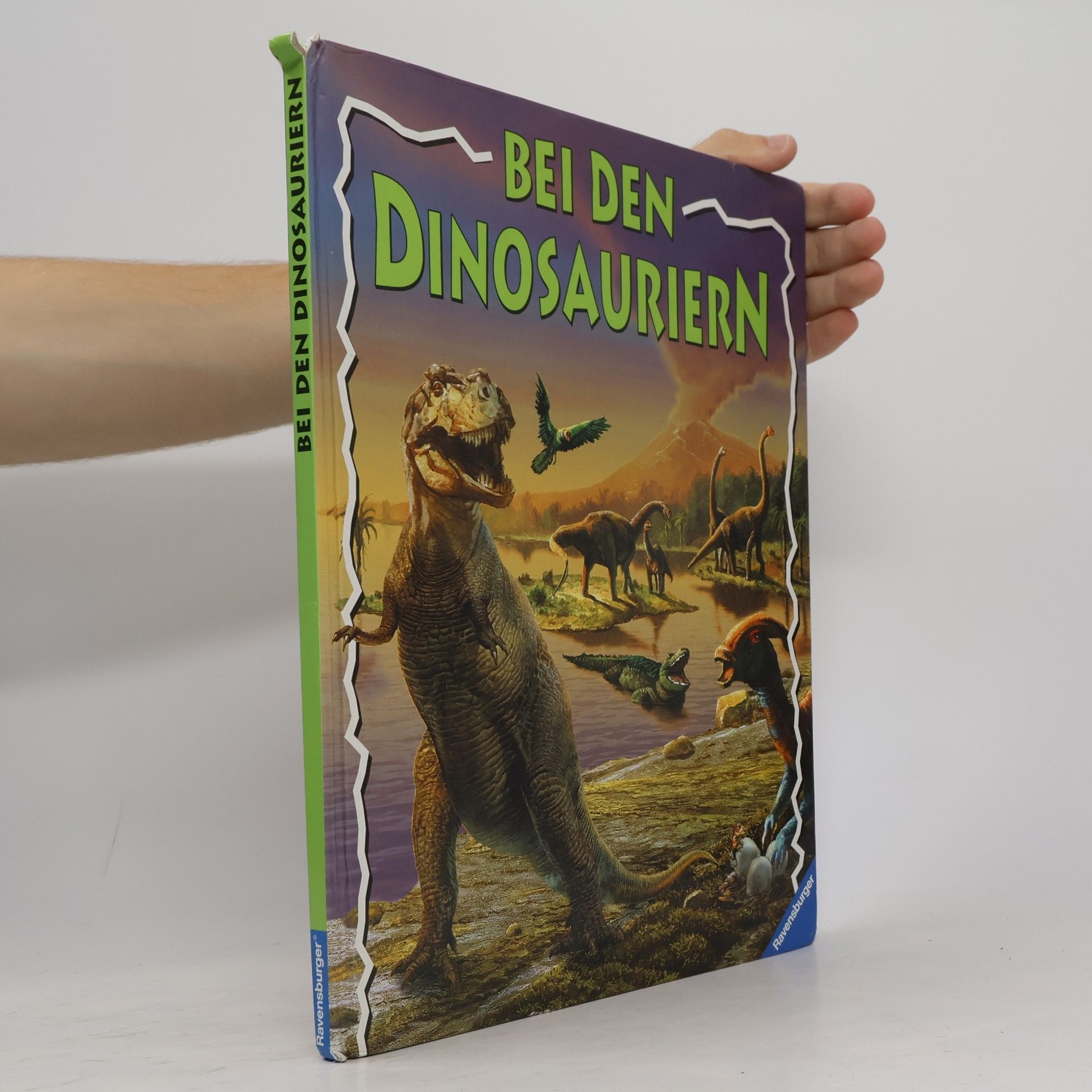 Ralph-Michael Schmidt Bei den Dinosauriern