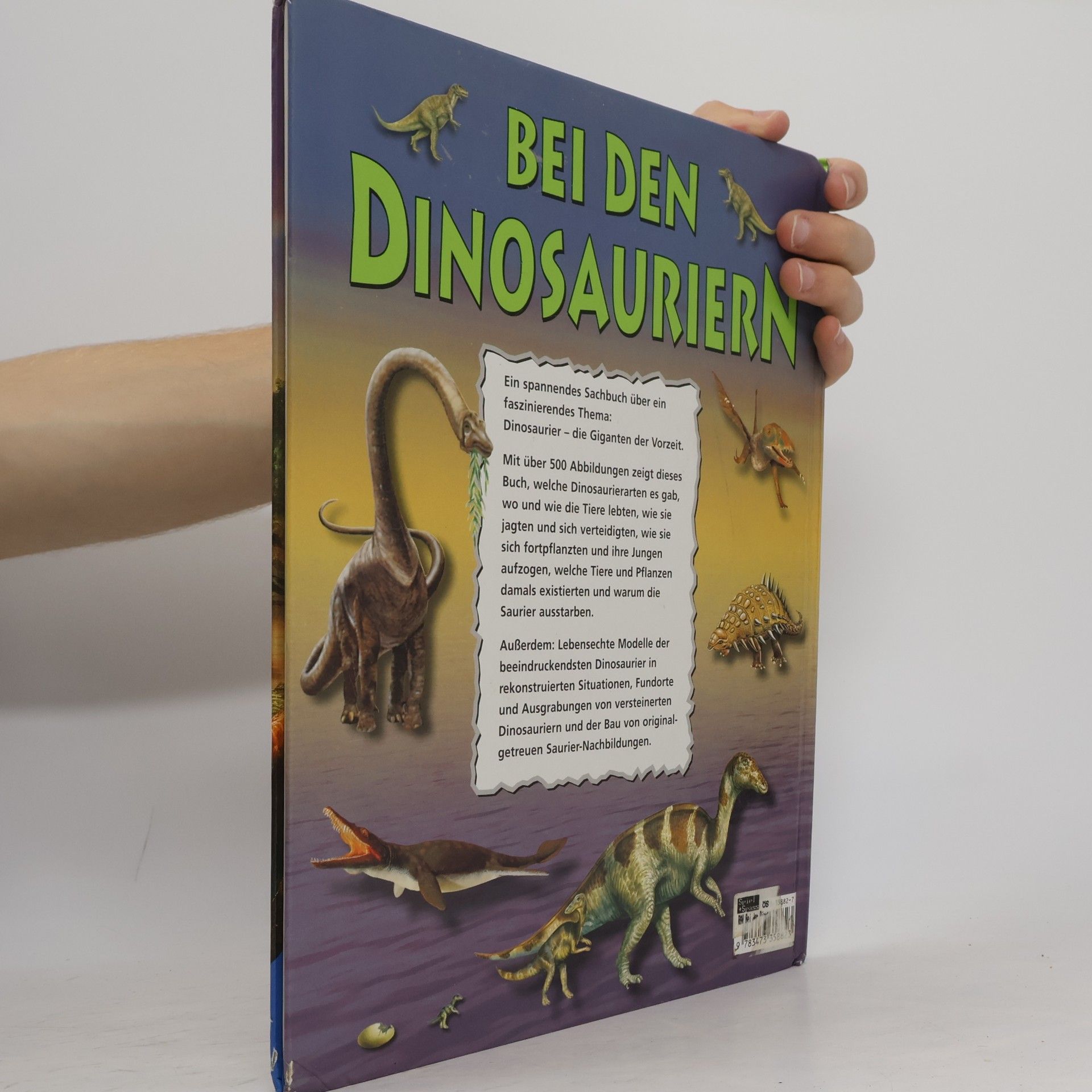 Ralph-Michael Schmidt Bei den Dinosauriern