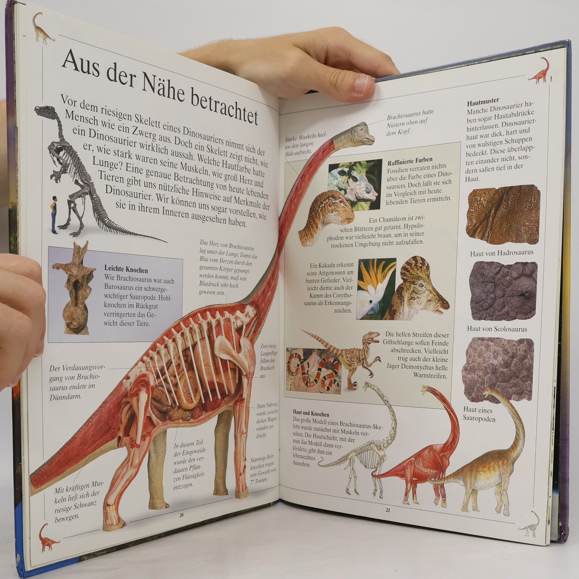 Ralph-Michael Schmidt Bei den Dinosauriern