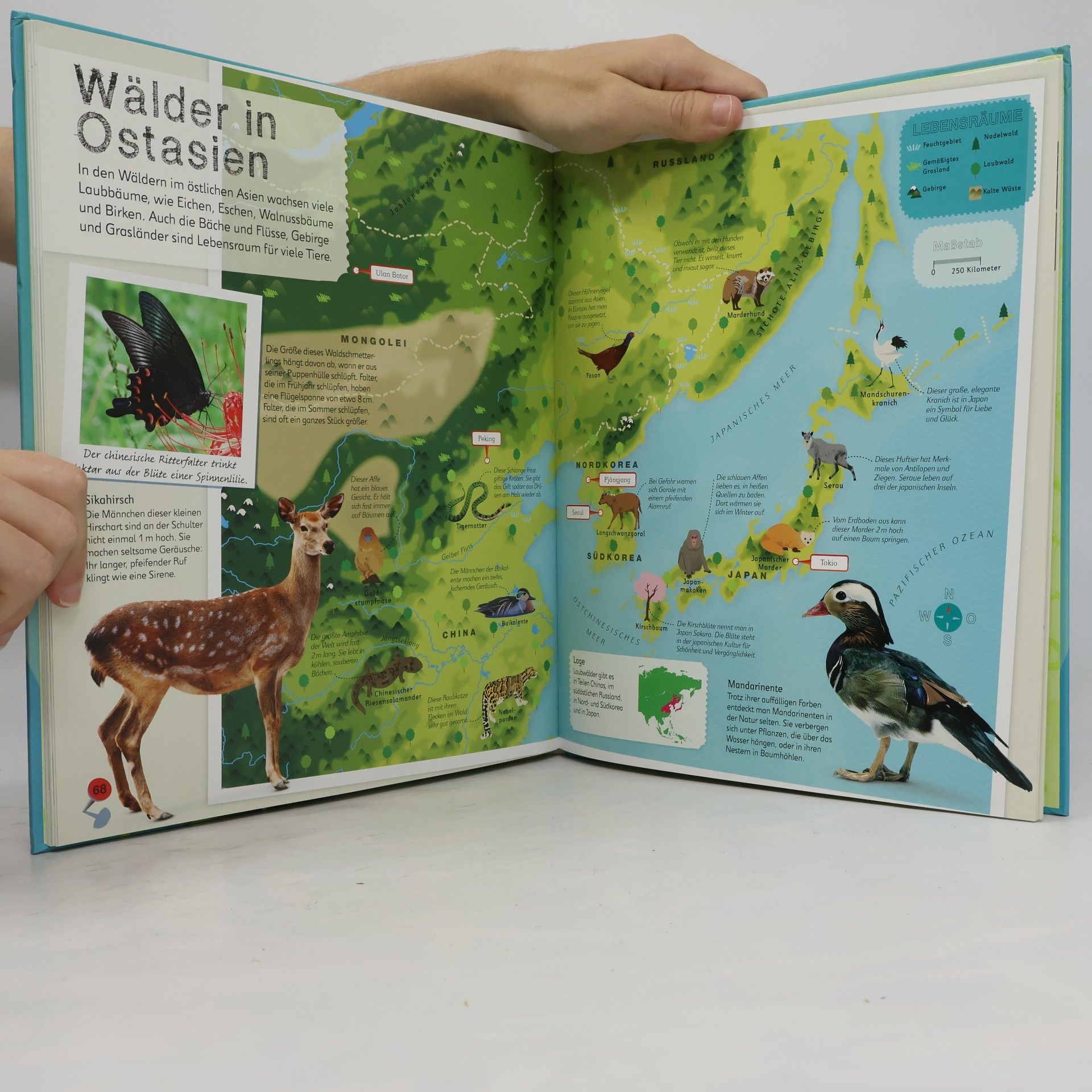 Tier-Atlas für Kinder