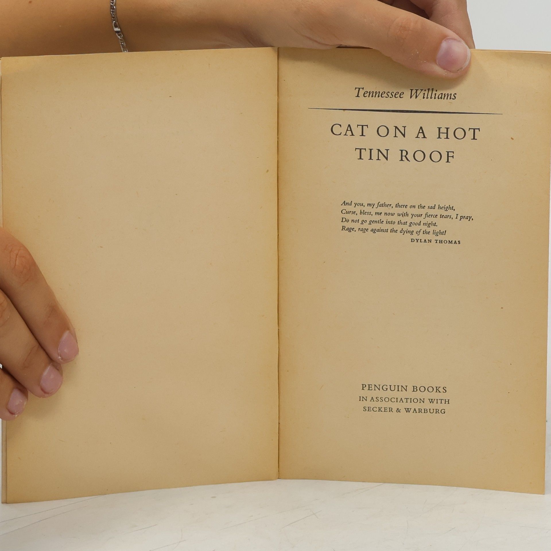 Tennessee Williams Cat on A Hot Tin Roof