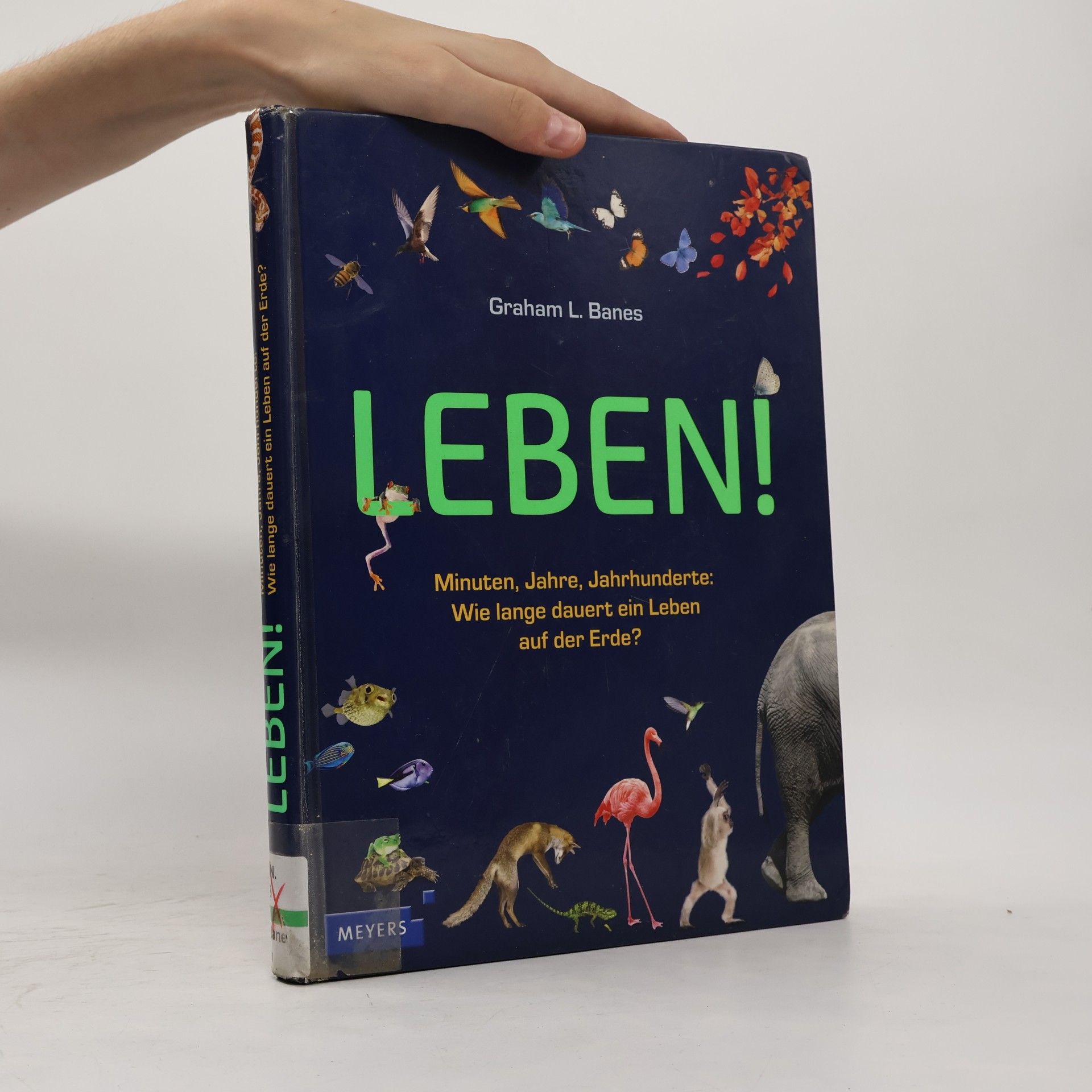 Graham L. Banes Leben!