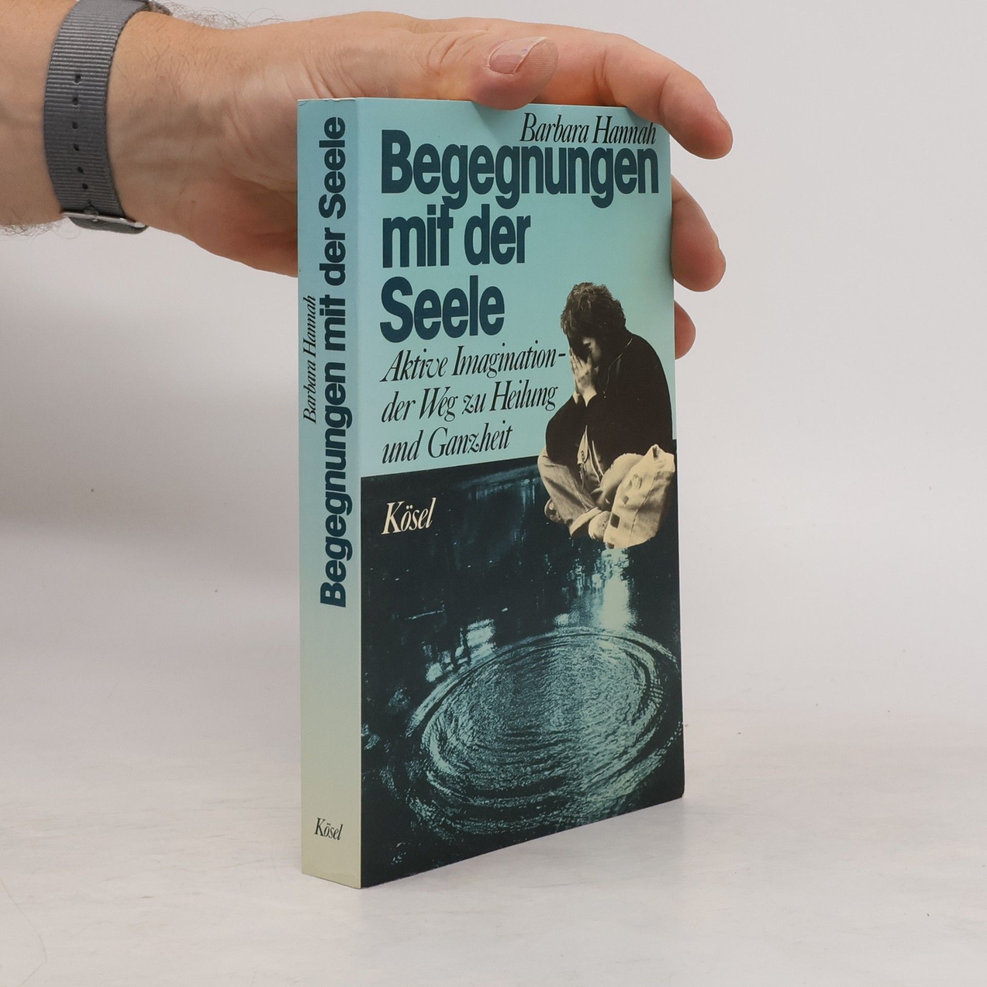 Barbara Hannah Begegnungen mit der Seele