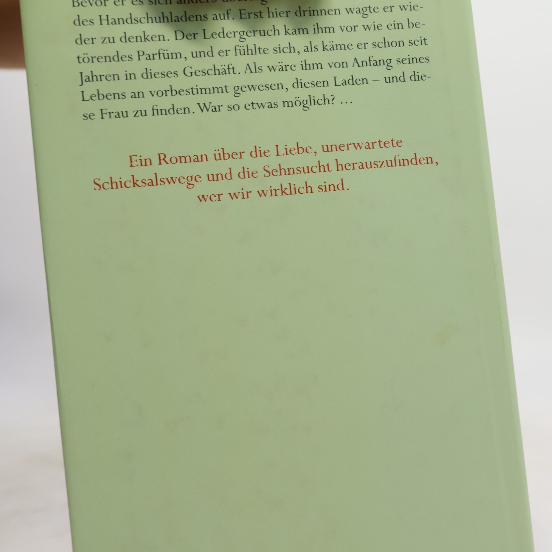 Manuela Martini Die Handschuhmacherin