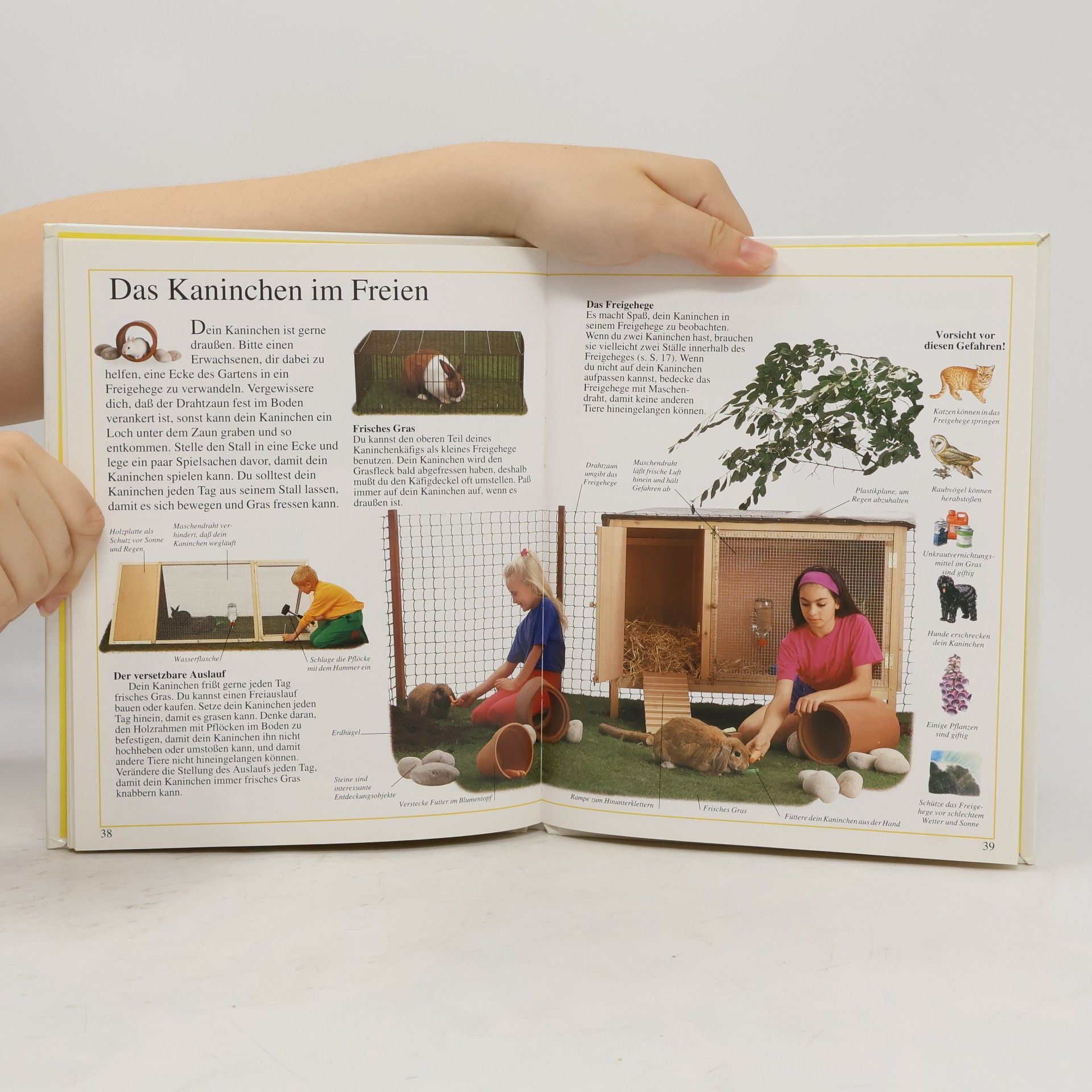 Kolektiv autorů Haustiere für Kinder. Kaninchen