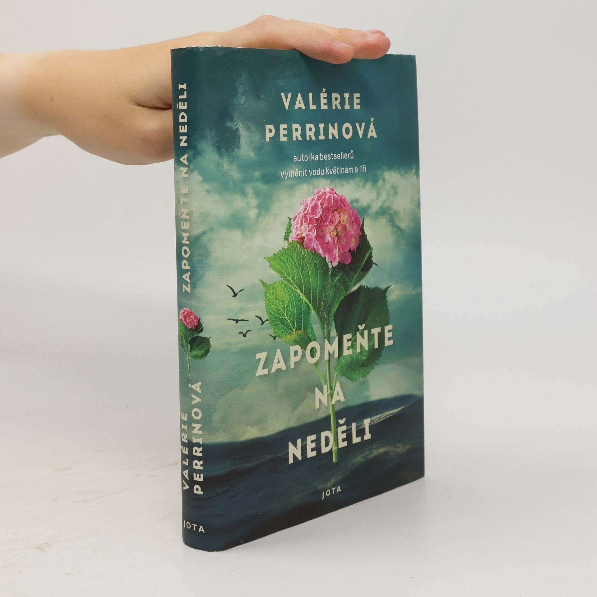 Valérie Perrin Zapomeňte na neděli