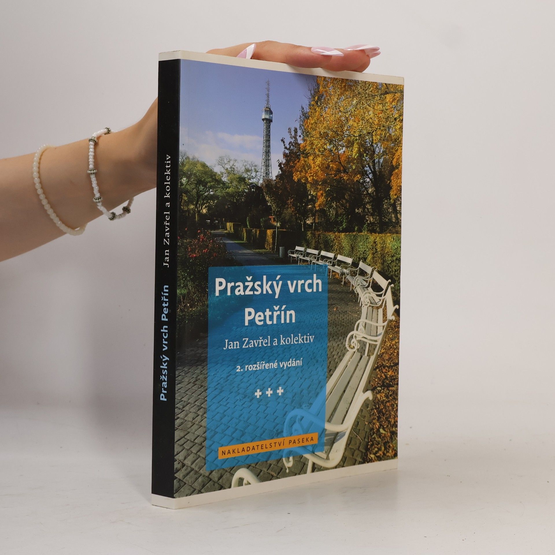 Jan Zavřel Pražský vrch Petřín