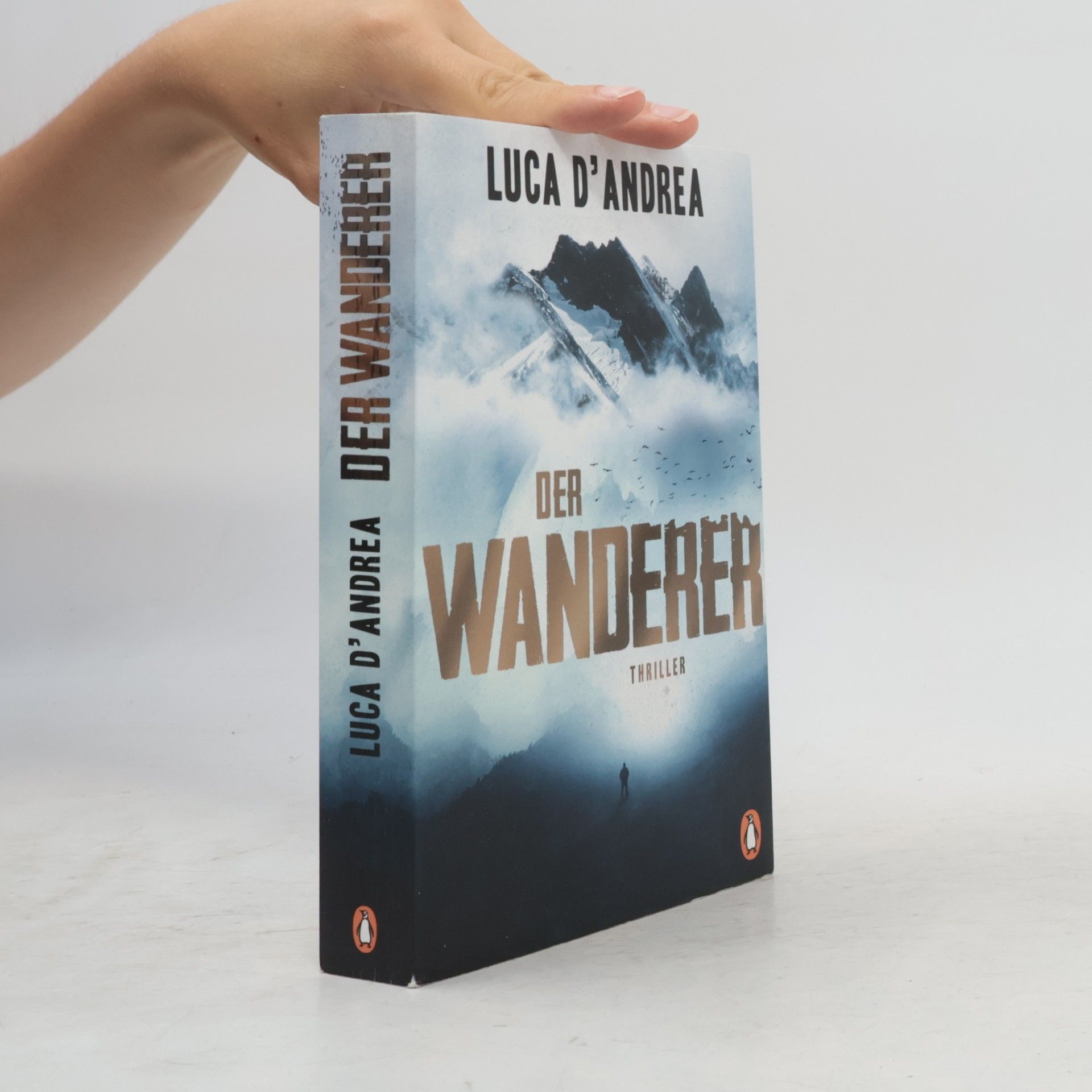 Luca D'Andrea Der Wanderer