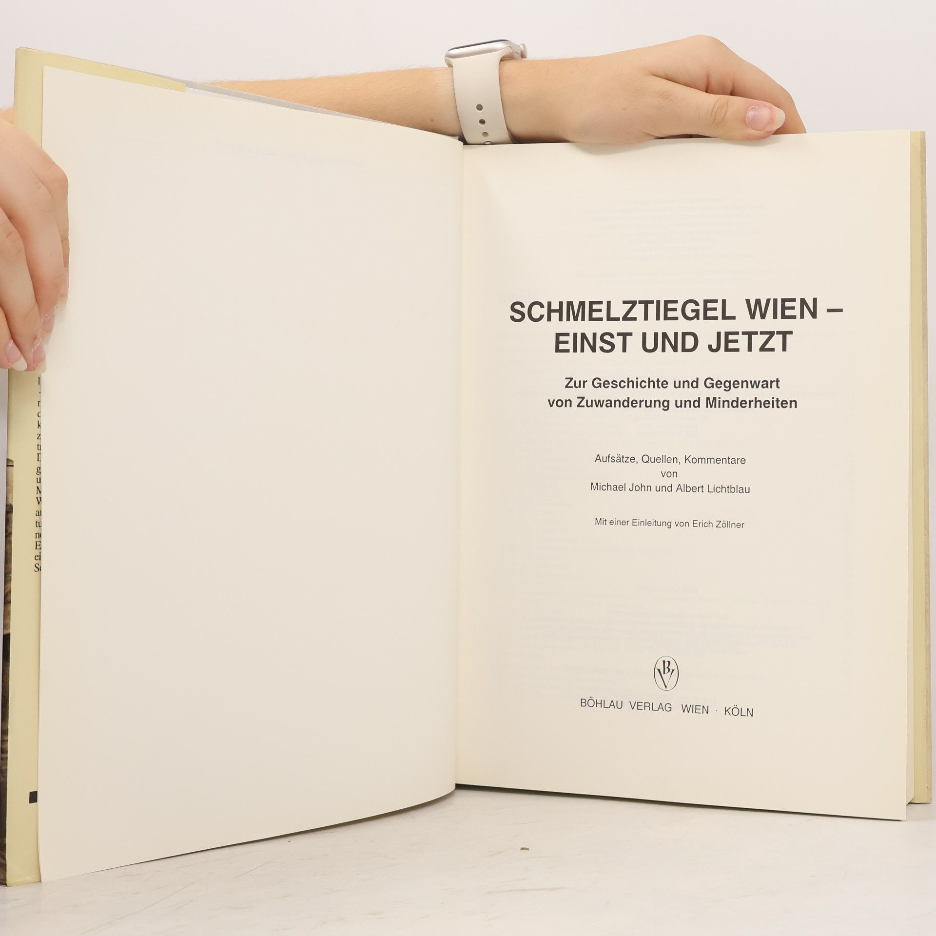 Albert Lichtblau Schmelztiegel Wien - einst und jetzt