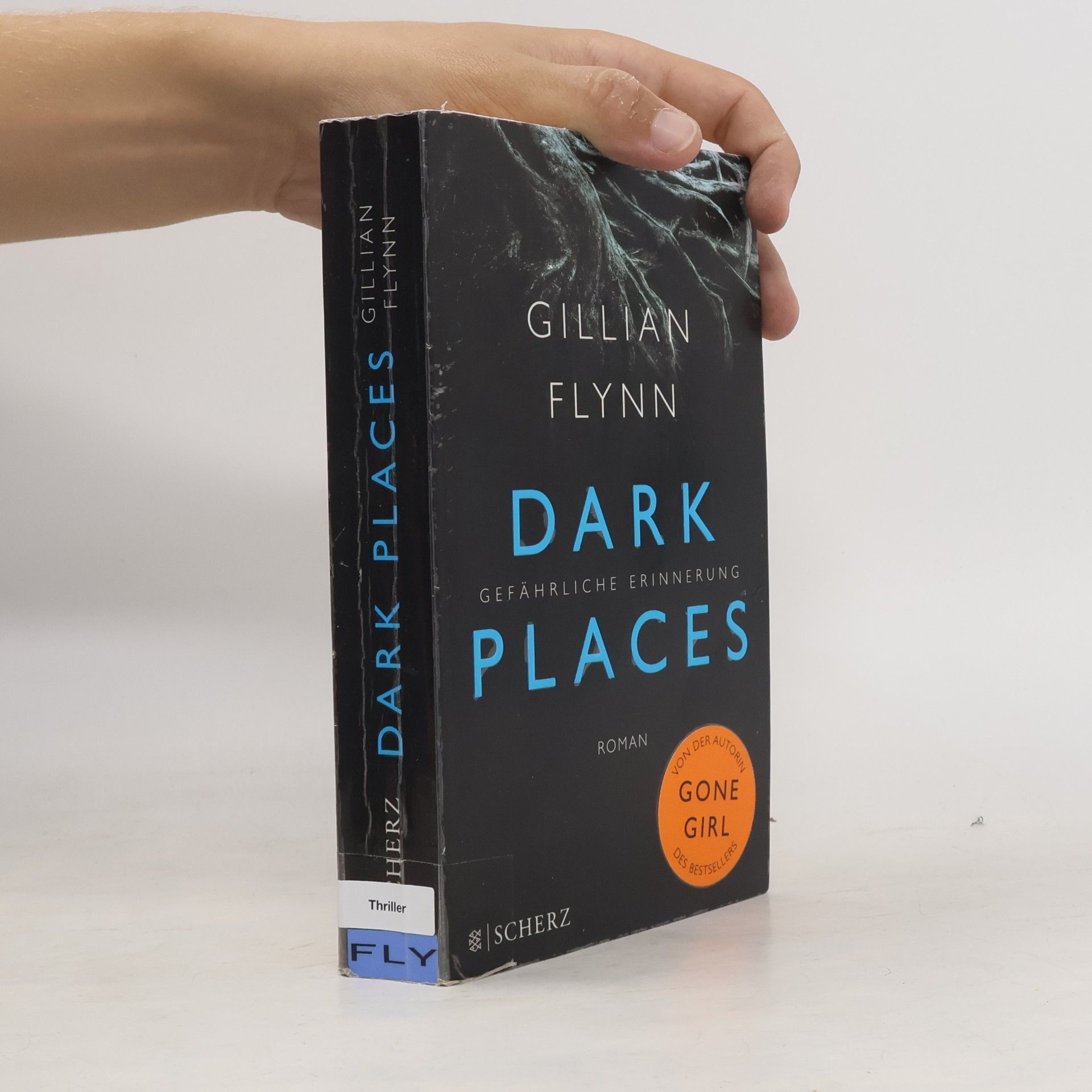 Gillian Flynn Dark places
