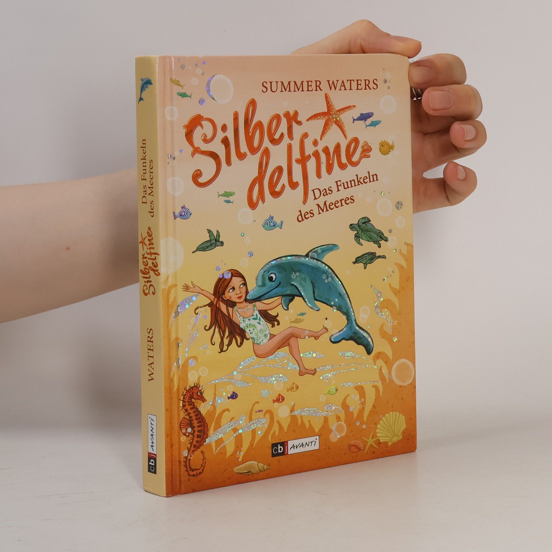 Regine Illy Silberdelfine - Das Funkeln des Meeres. Band 6