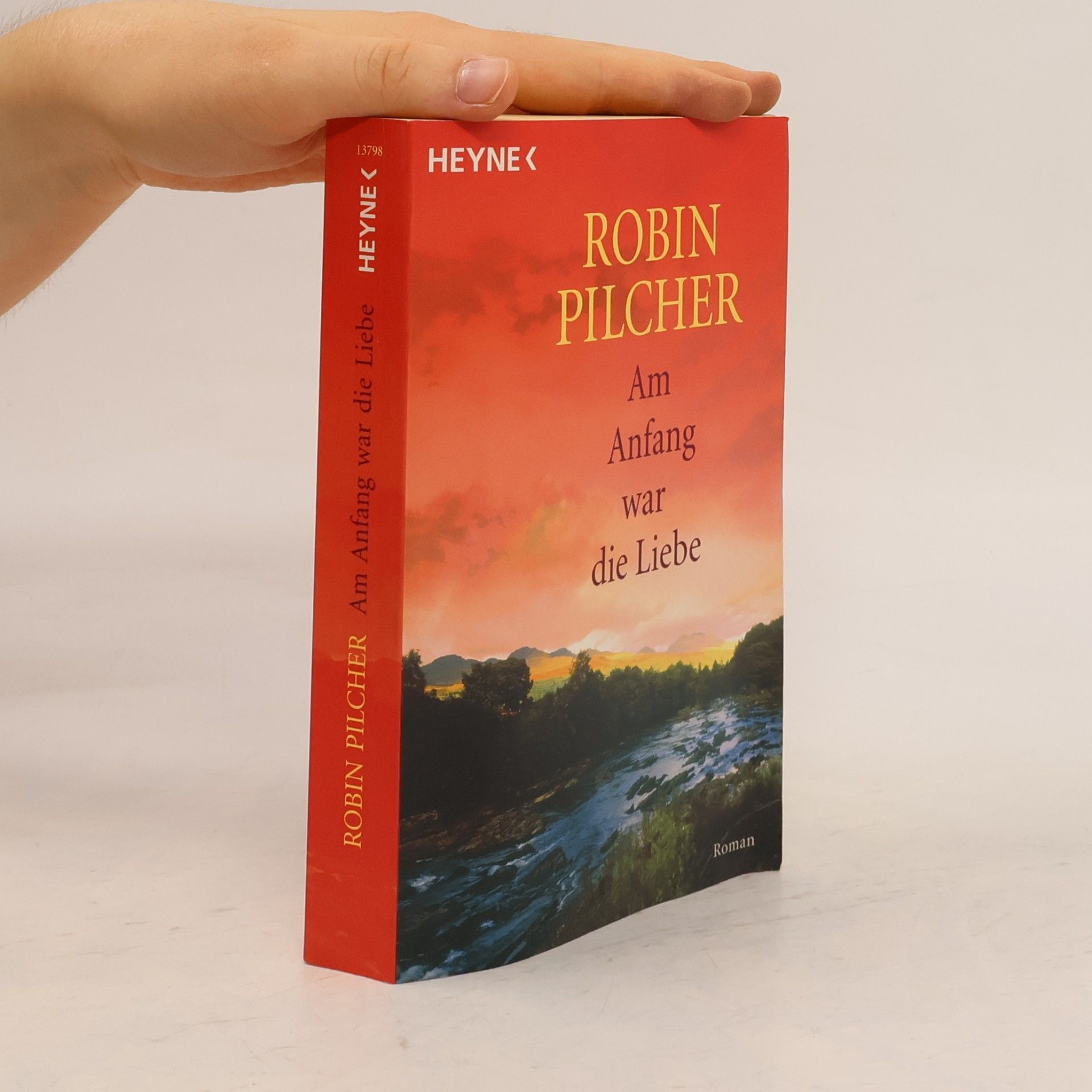 Robin Pilcher Am Anfang war die Liebe