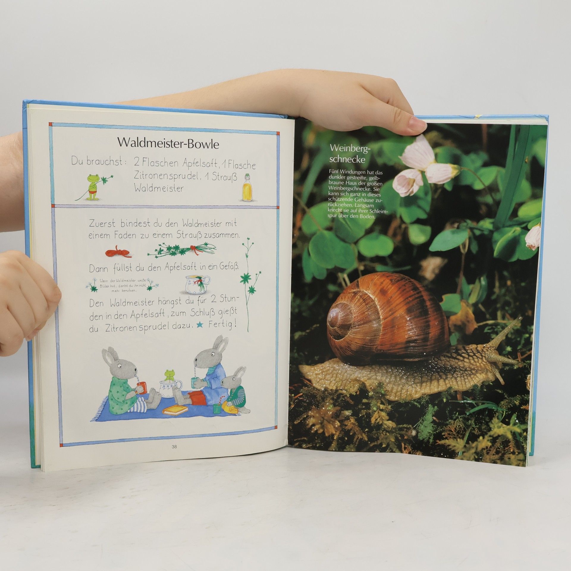Klaus Ruhl Jahrbuch für Kinder