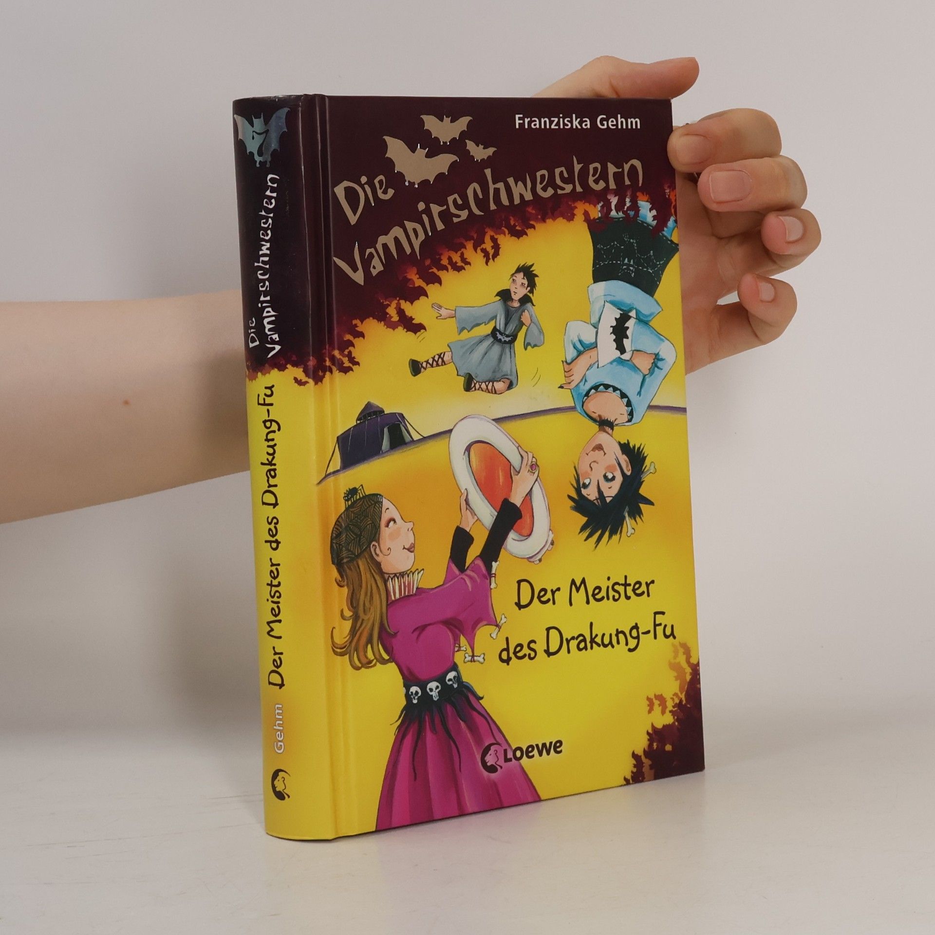 Franziska Gehm Die Vampirschwester. Der Meister des Drakung-Fu