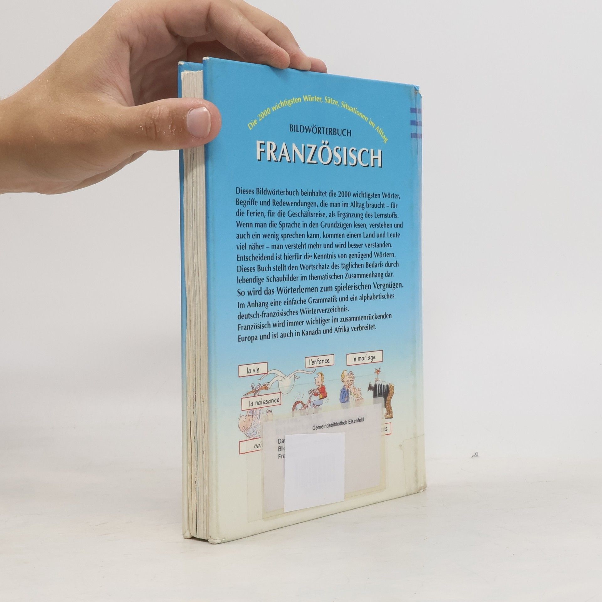 Helen Davies Bildwörterbuch Französisch