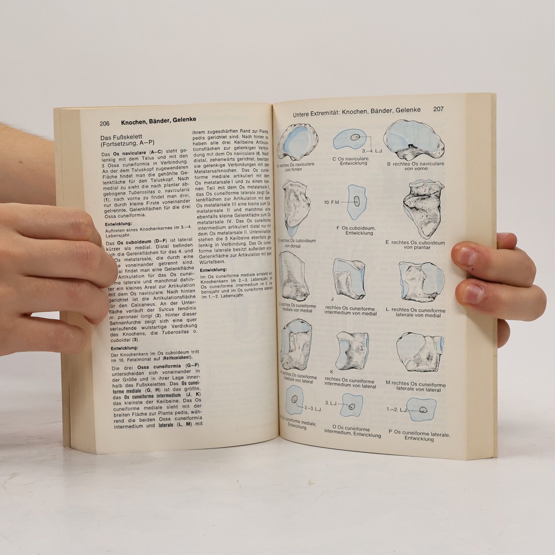 Werner Kahle Taschenatlas der Anatomie - für Studium und Praxis - Band 1