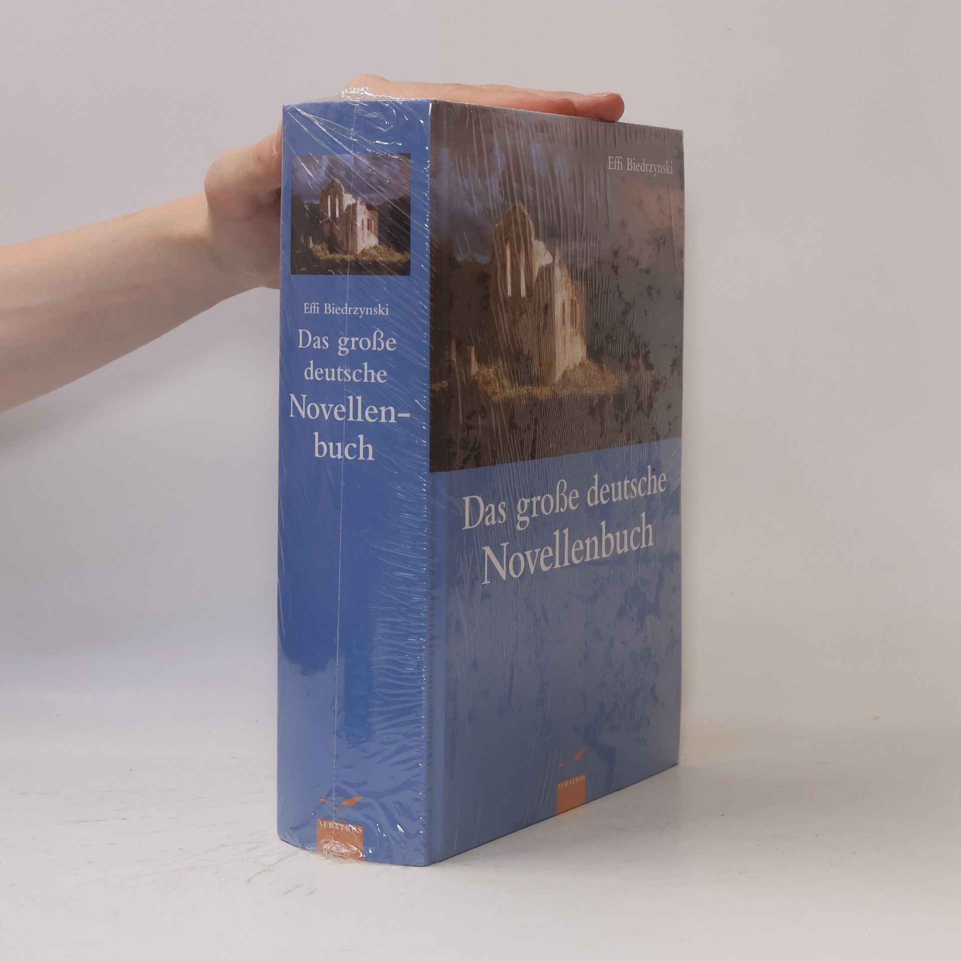 Kolektiv autorů Das große deutsche Novellenbuch